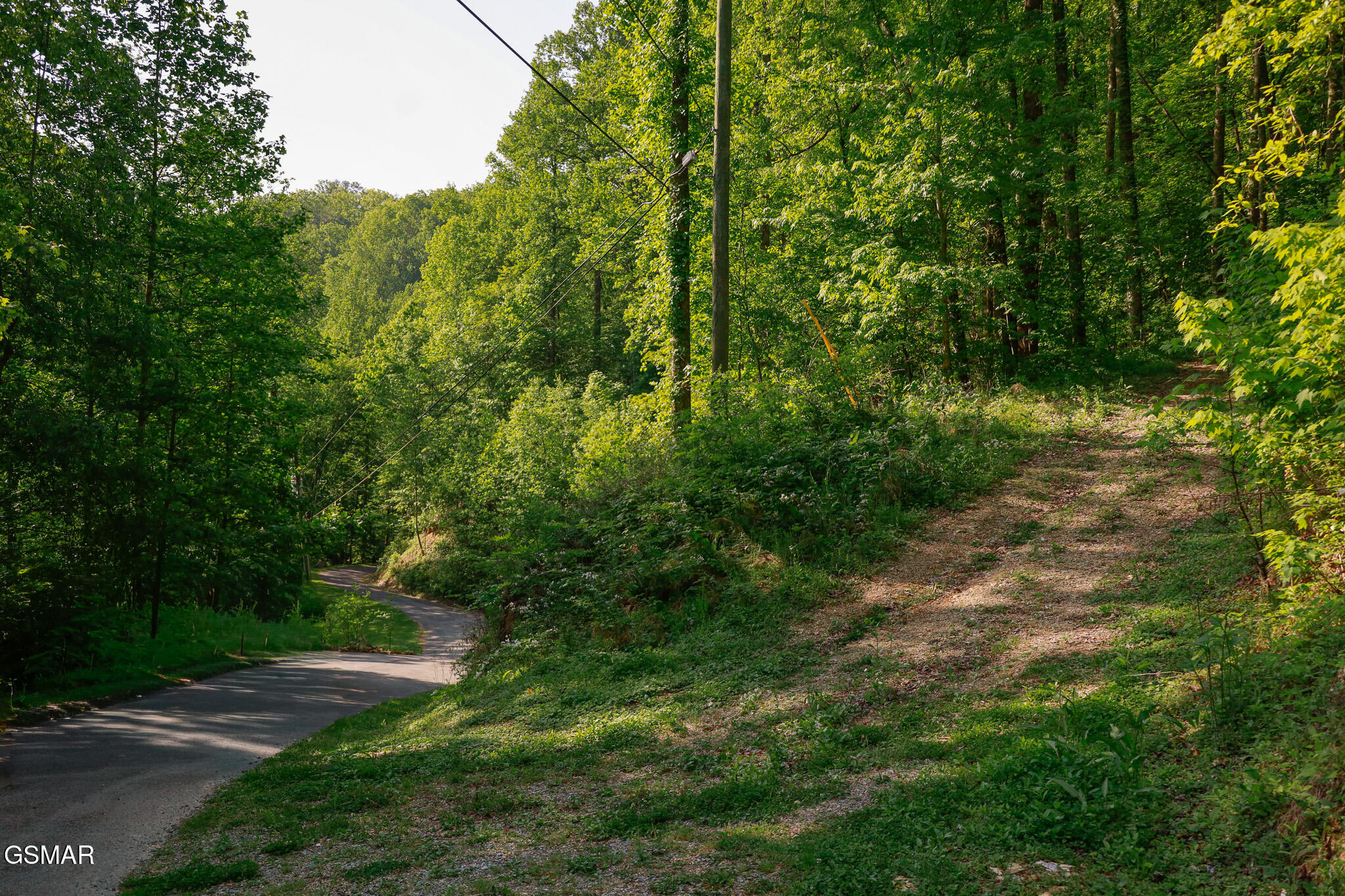 1017/1035 Big Buck Trail Townsend TN 37882