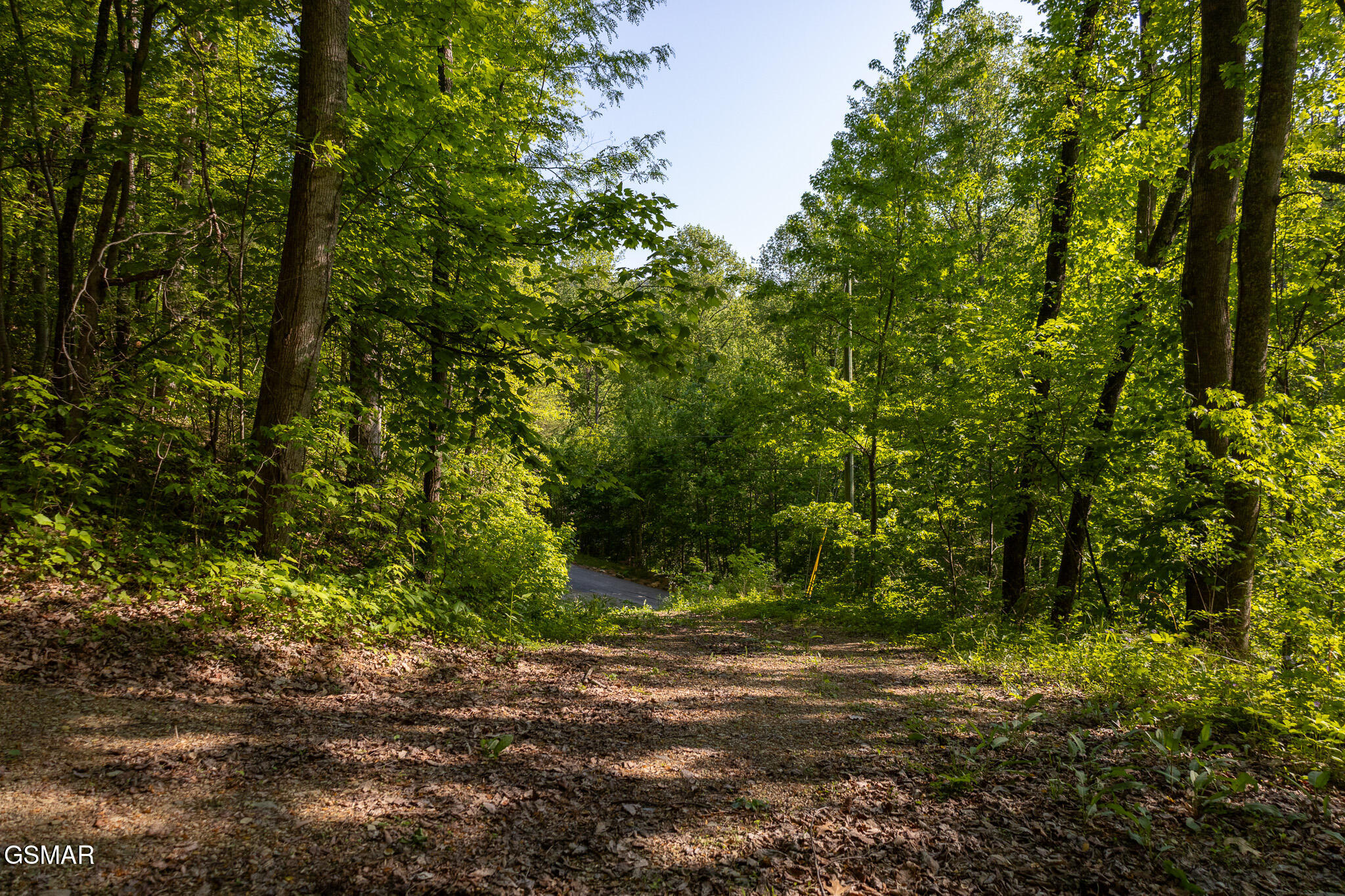 1017/1035 Big Buck Trail Townsend TN 37882