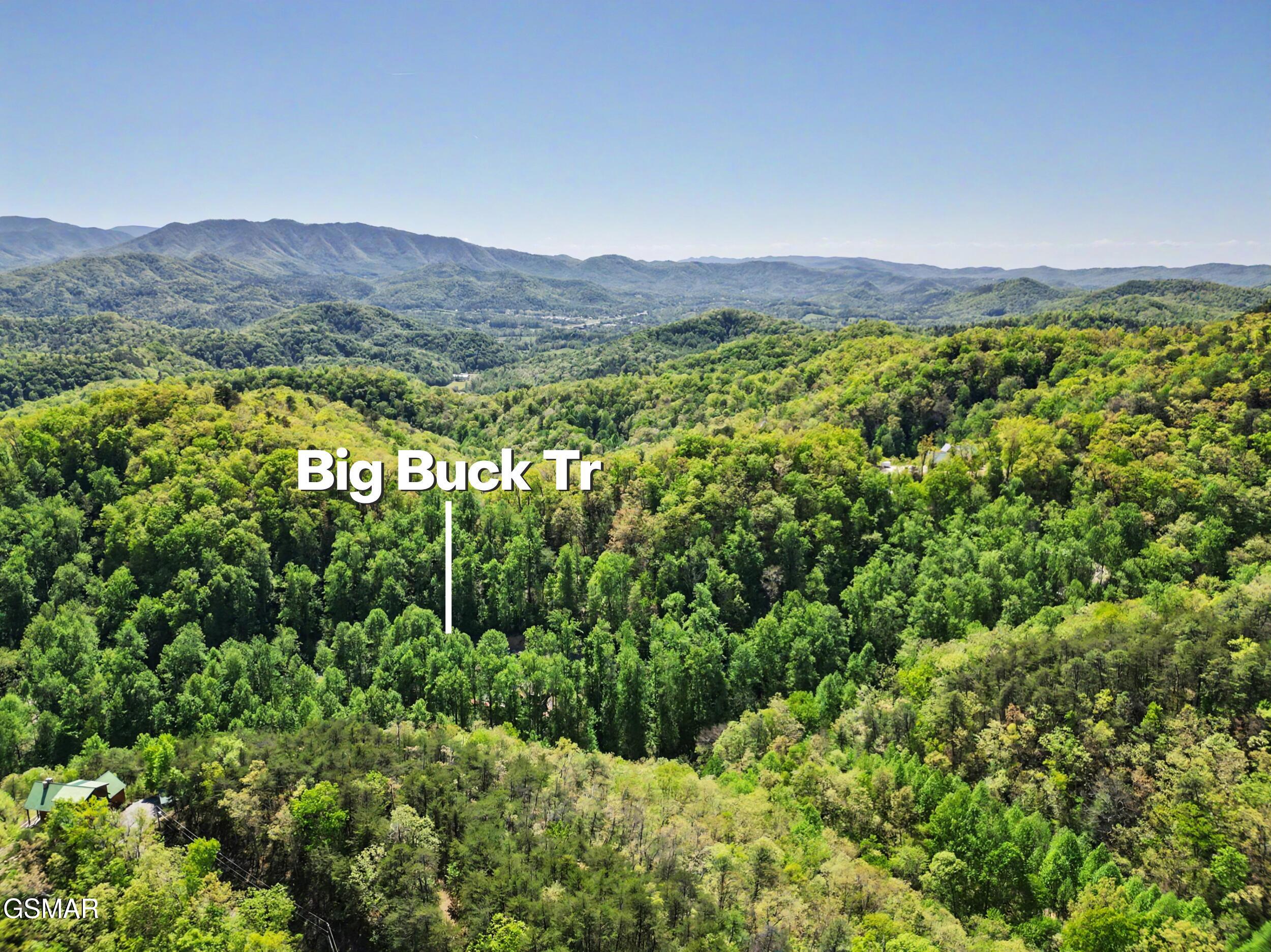1017/1035 Big Buck Trail Townsend TN 37882