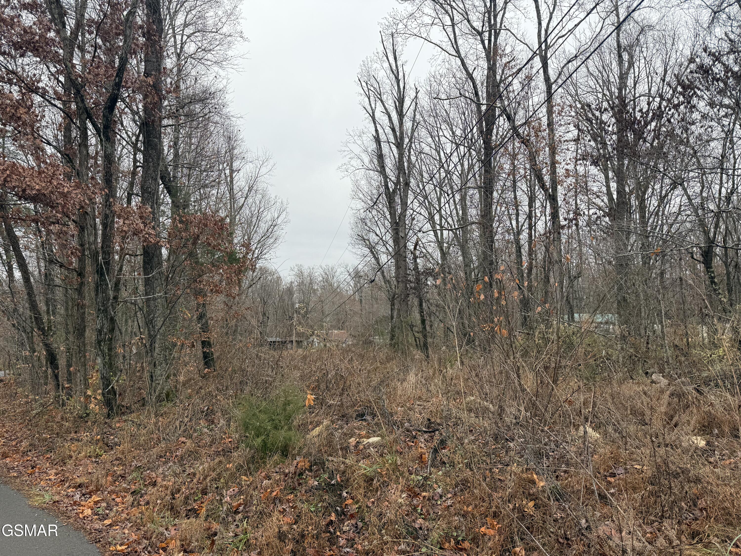 0 Collier Loop Dandridge TN 37725