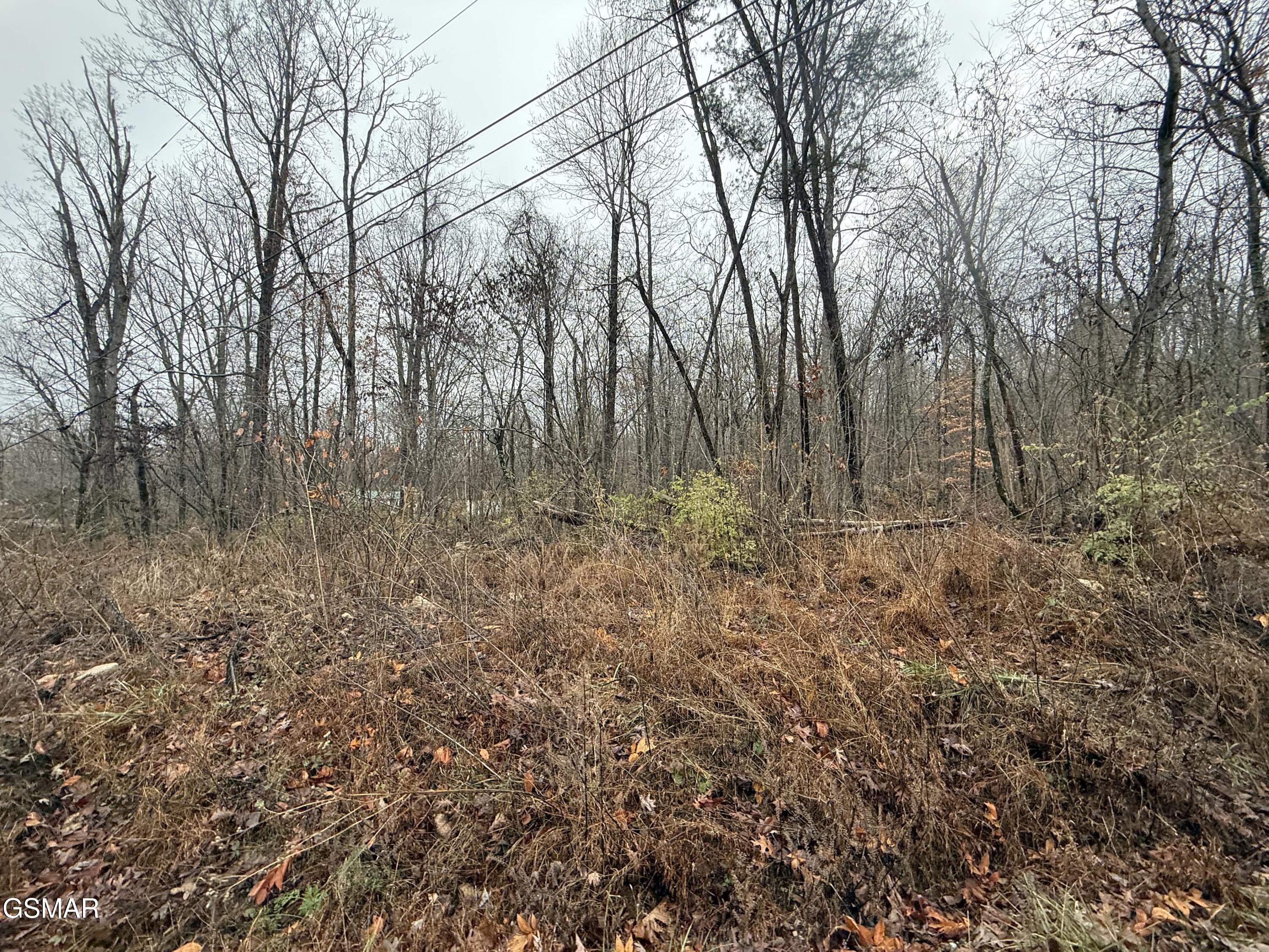 0 Collier Loop Dandridge TN 37725