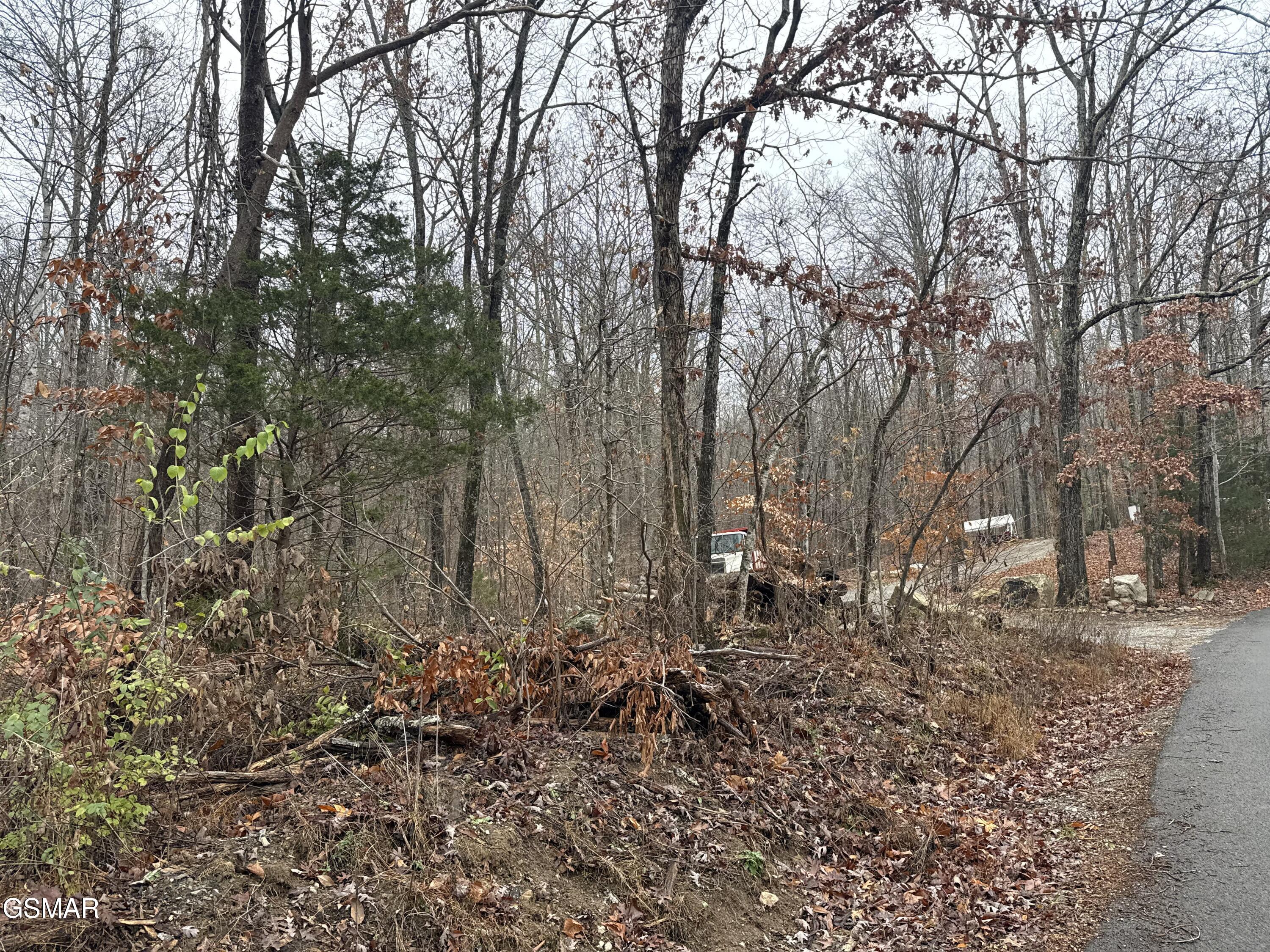 0 Collier Loop Dandridge TN 37725