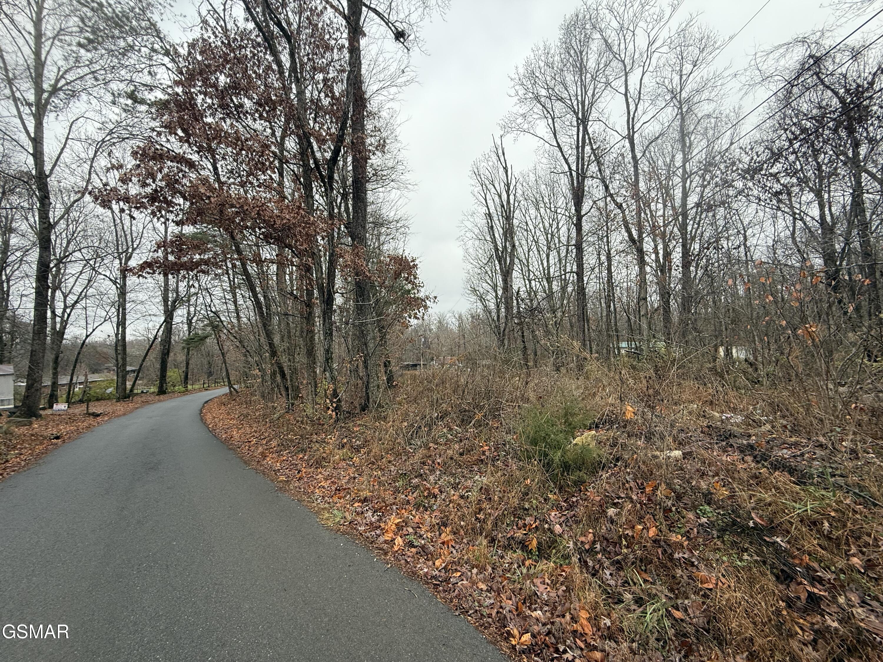 0 Collier Loop Dandridge TN 37725