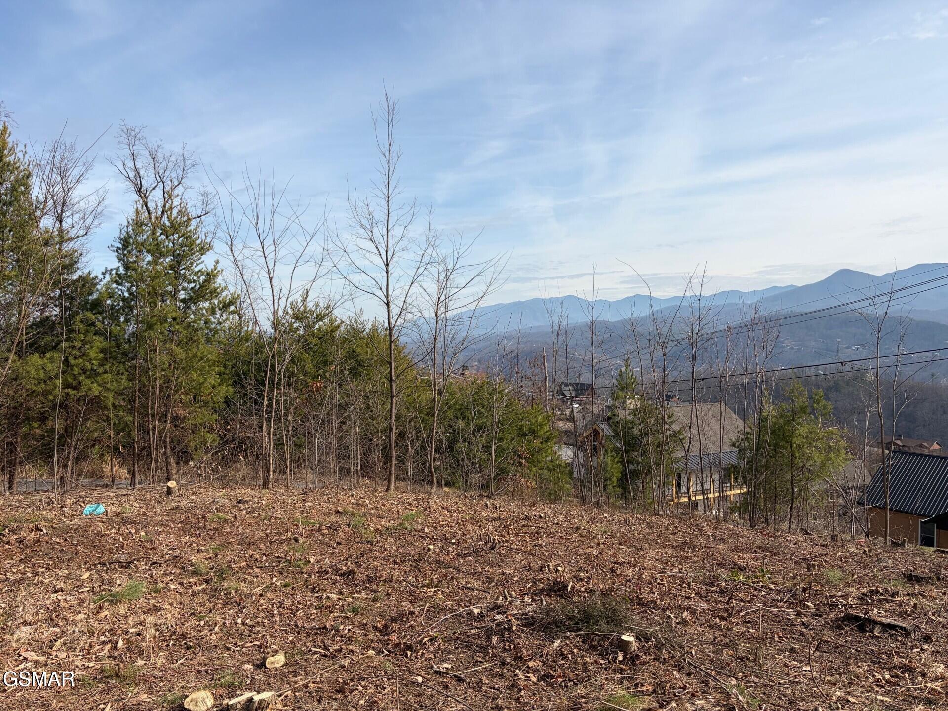 730 Wiley Oakley Drive Gatlinburg TN 37738