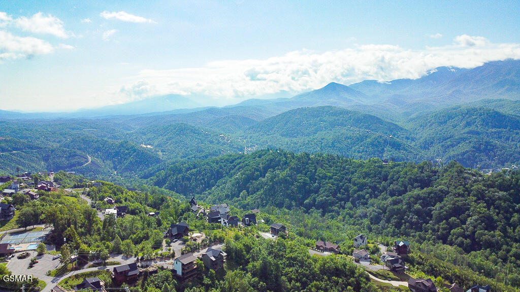 730 Wiley Oakley Drive Gatlinburg TN 37738