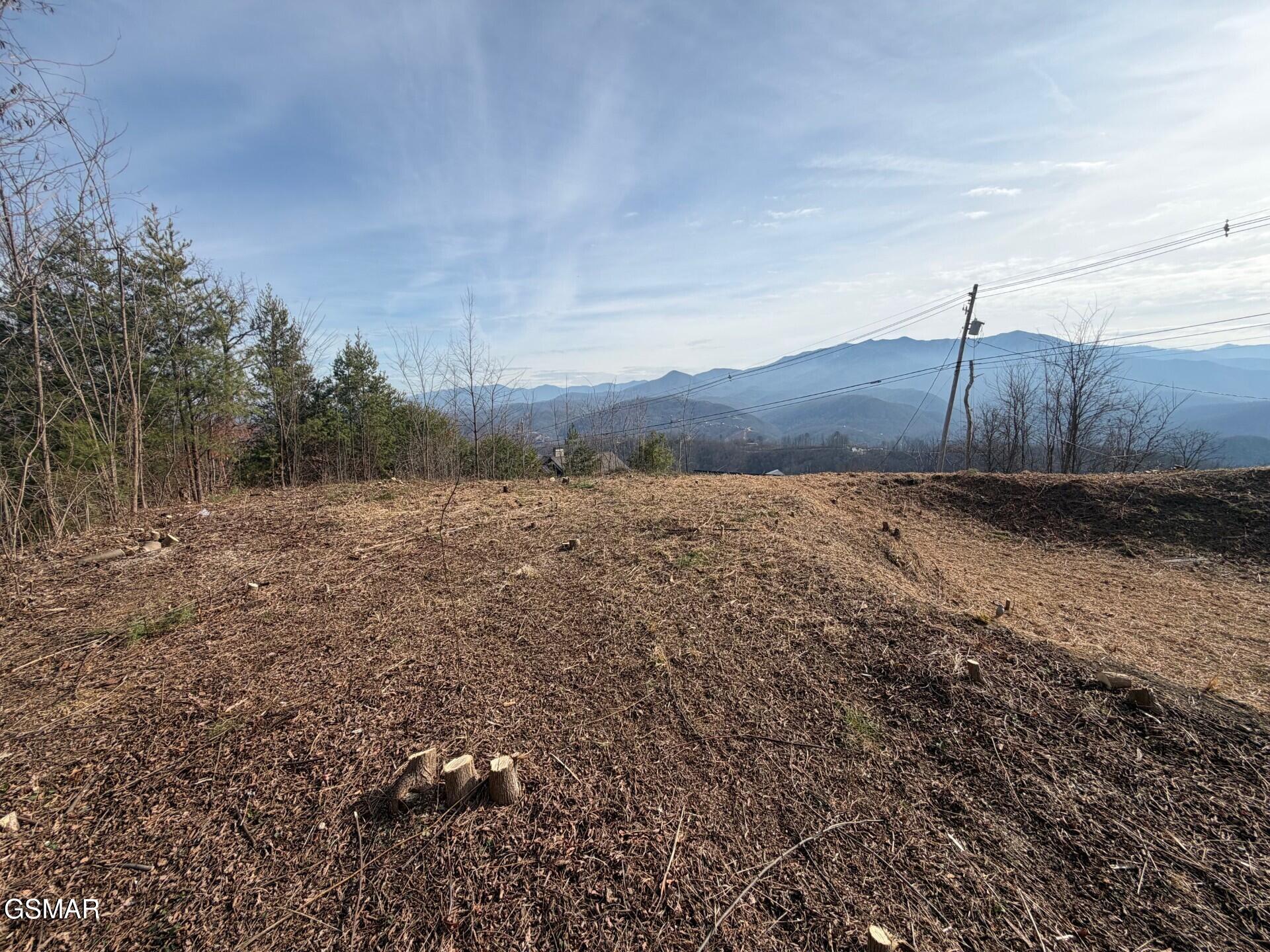 730 Wiley Oakley Drive Gatlinburg TN 37738