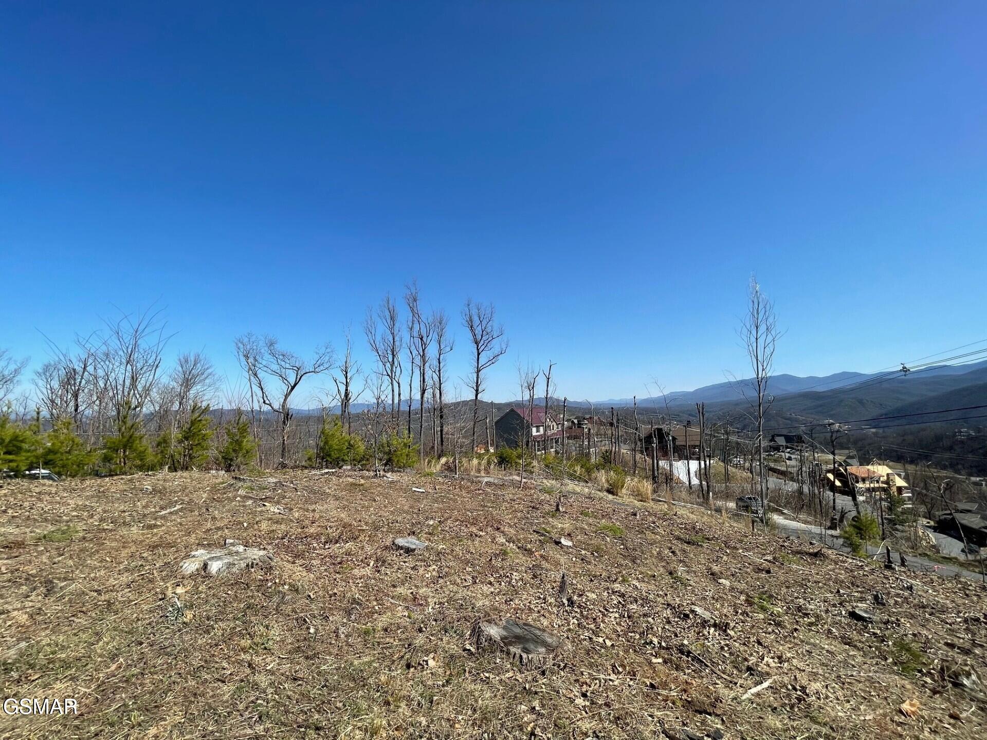 730 Wiley Oakley Drive Gatlinburg TN 37738