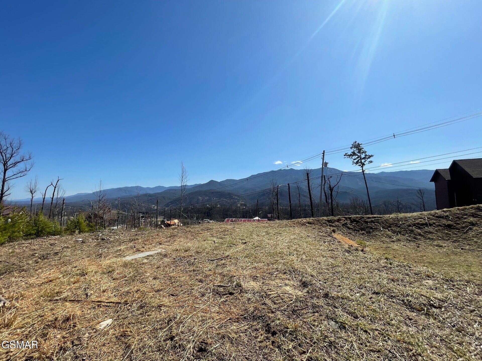 730 Wiley Oakley Drive Gatlinburg TN 37738