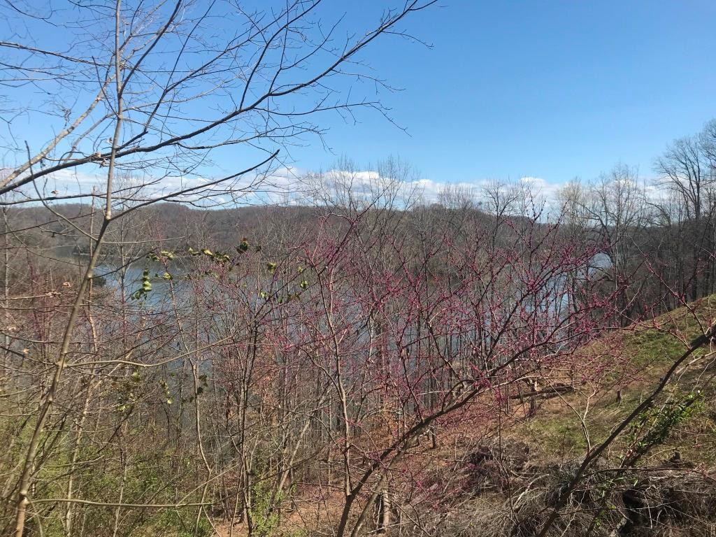 Marsh Road Smithville TN 37166