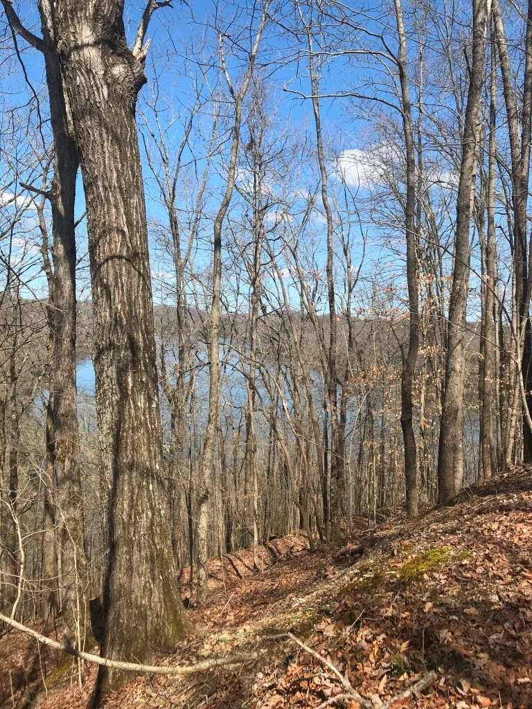 Marsh Road Smithville TN 37166
