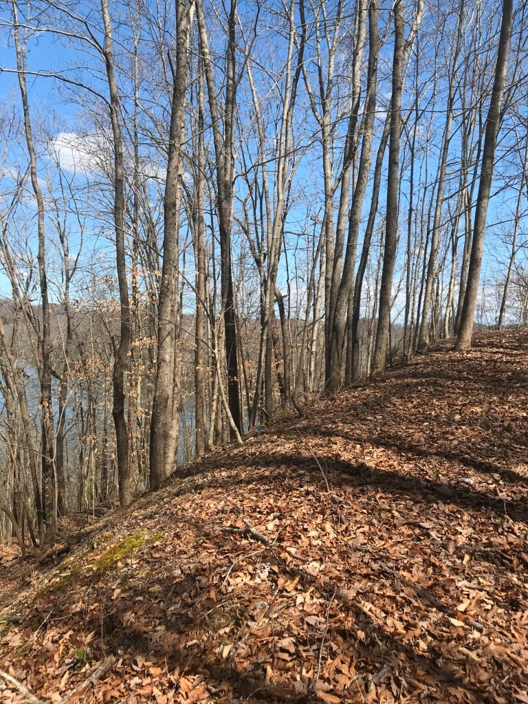 Marsh Road Smithville TN 37166