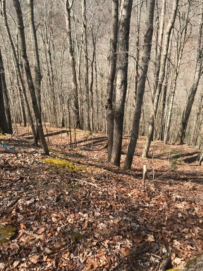 Marsh Road Smithville TN 37166