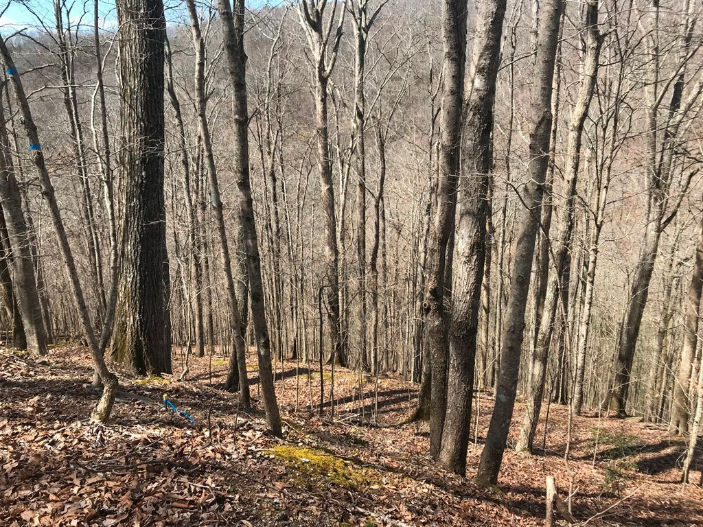 Marsh Road Smithville TN 37166