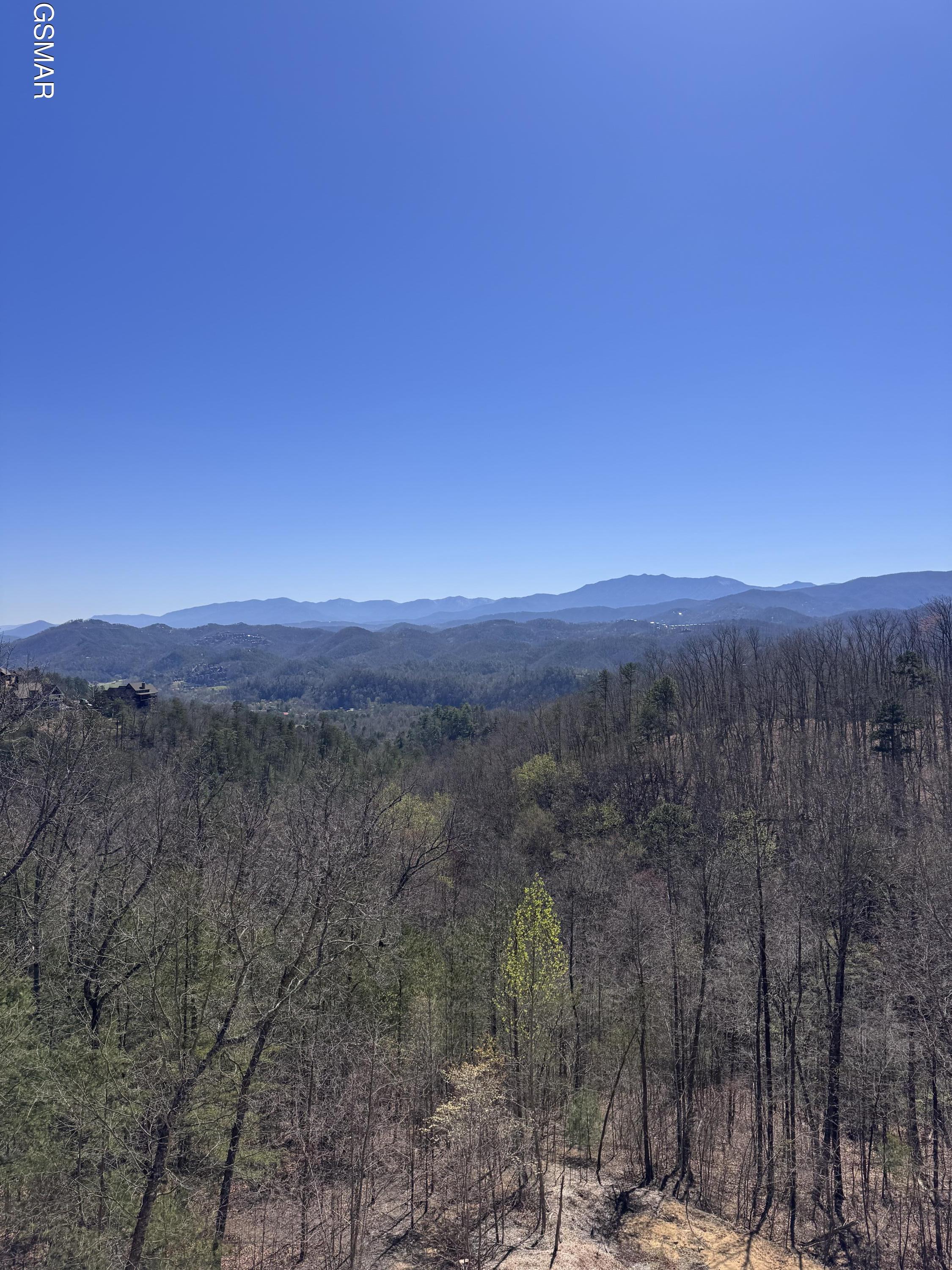 Lot 100 Laurel Cove Trail Sevierville TN 37862