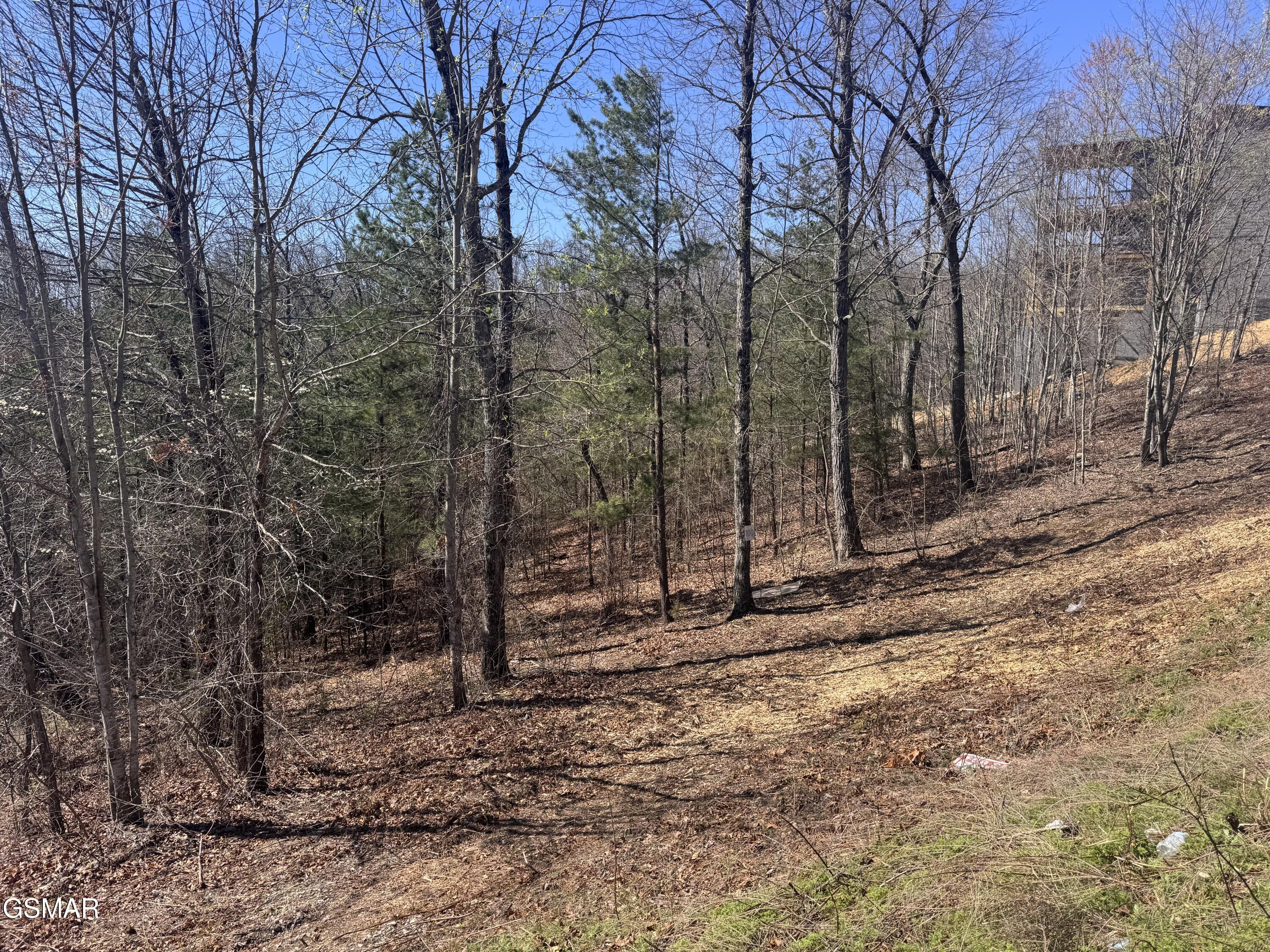 Lot 100 Laurel Cove Trail Sevierville TN 37862