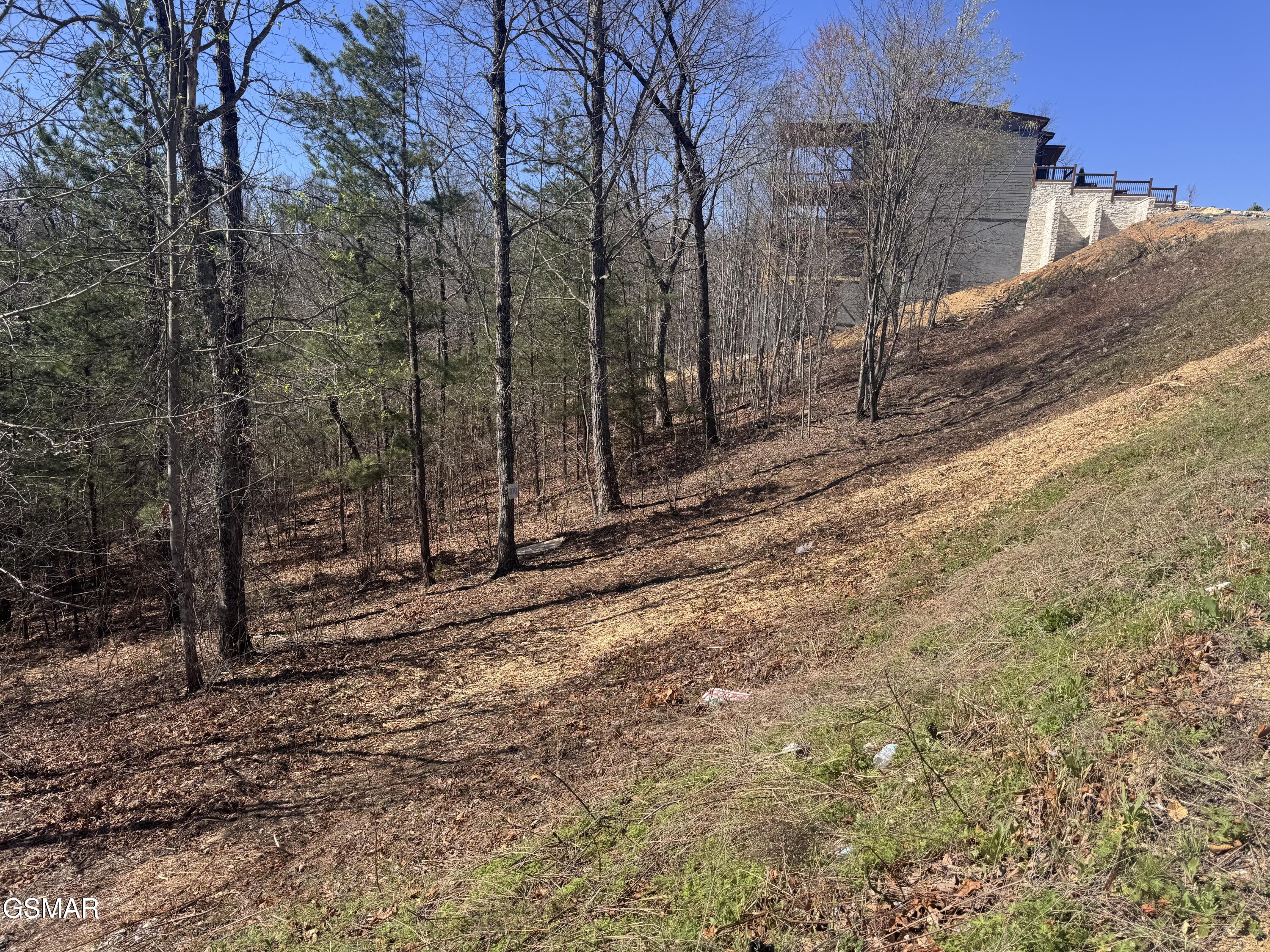 Lot 100 Laurel Cove Trail Sevierville TN 37862