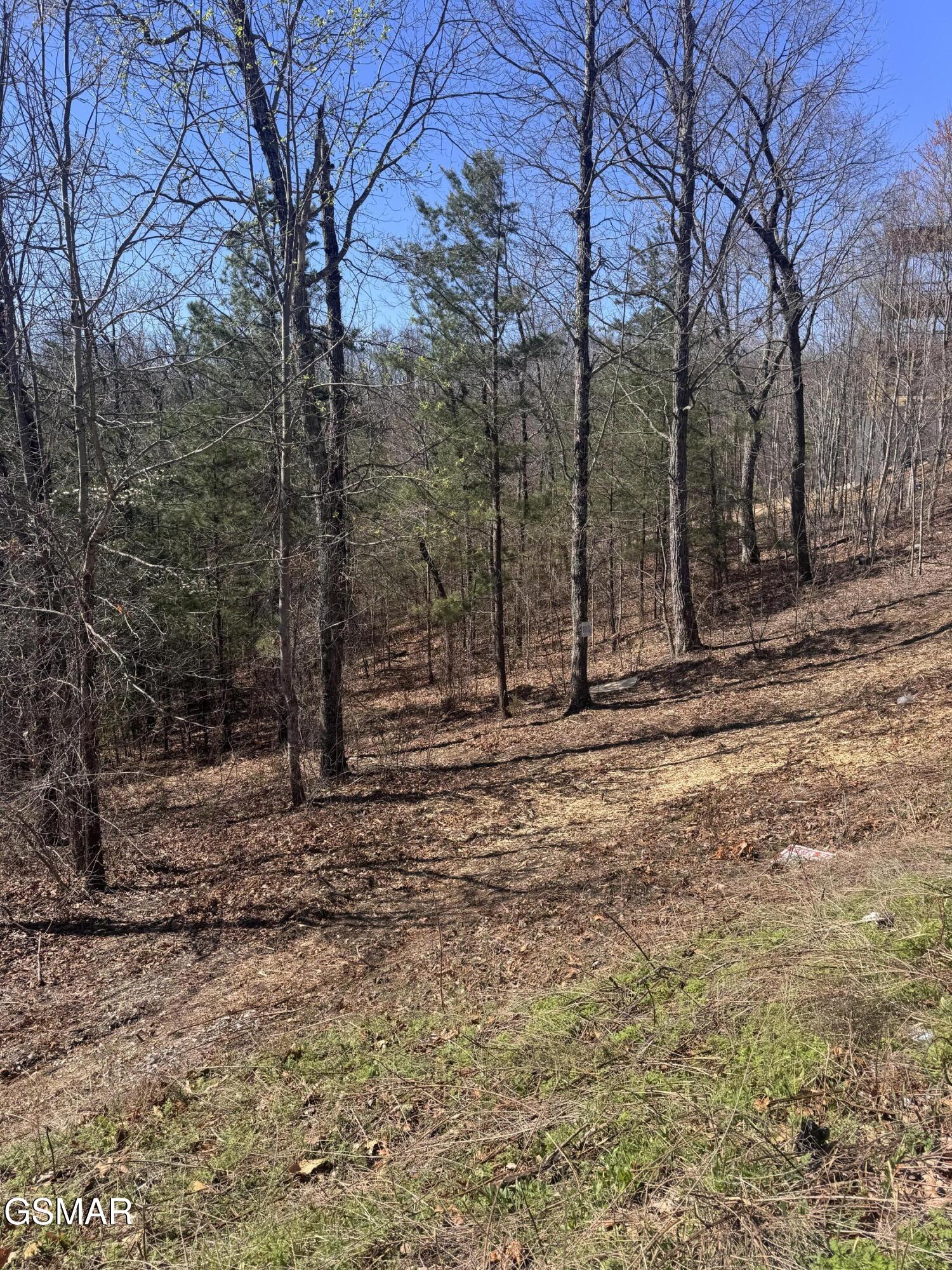Lot 100 Laurel Cove Trail Sevierville TN 37862