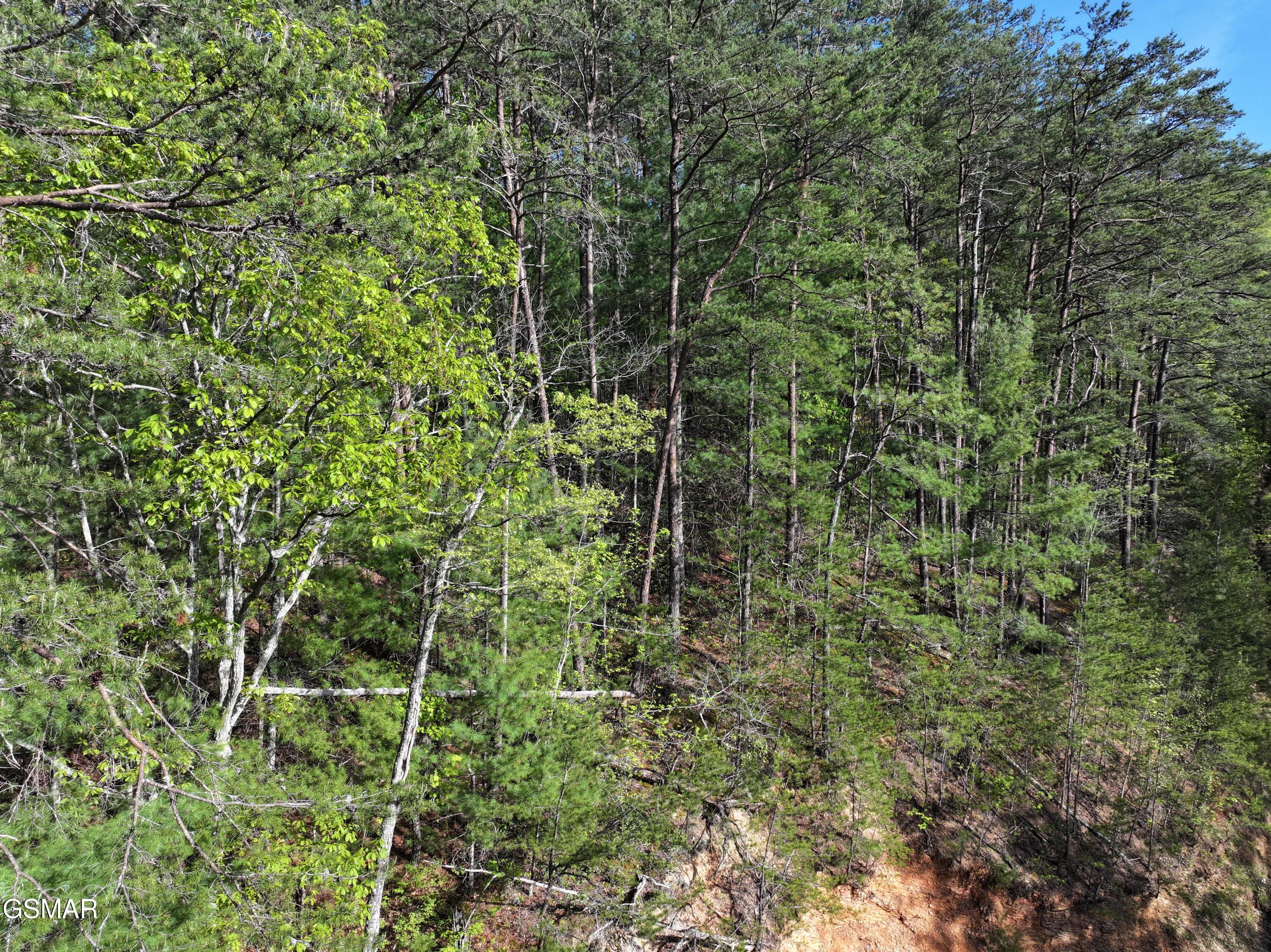 Lot 15 Sunset Road Sevierville TN 37862