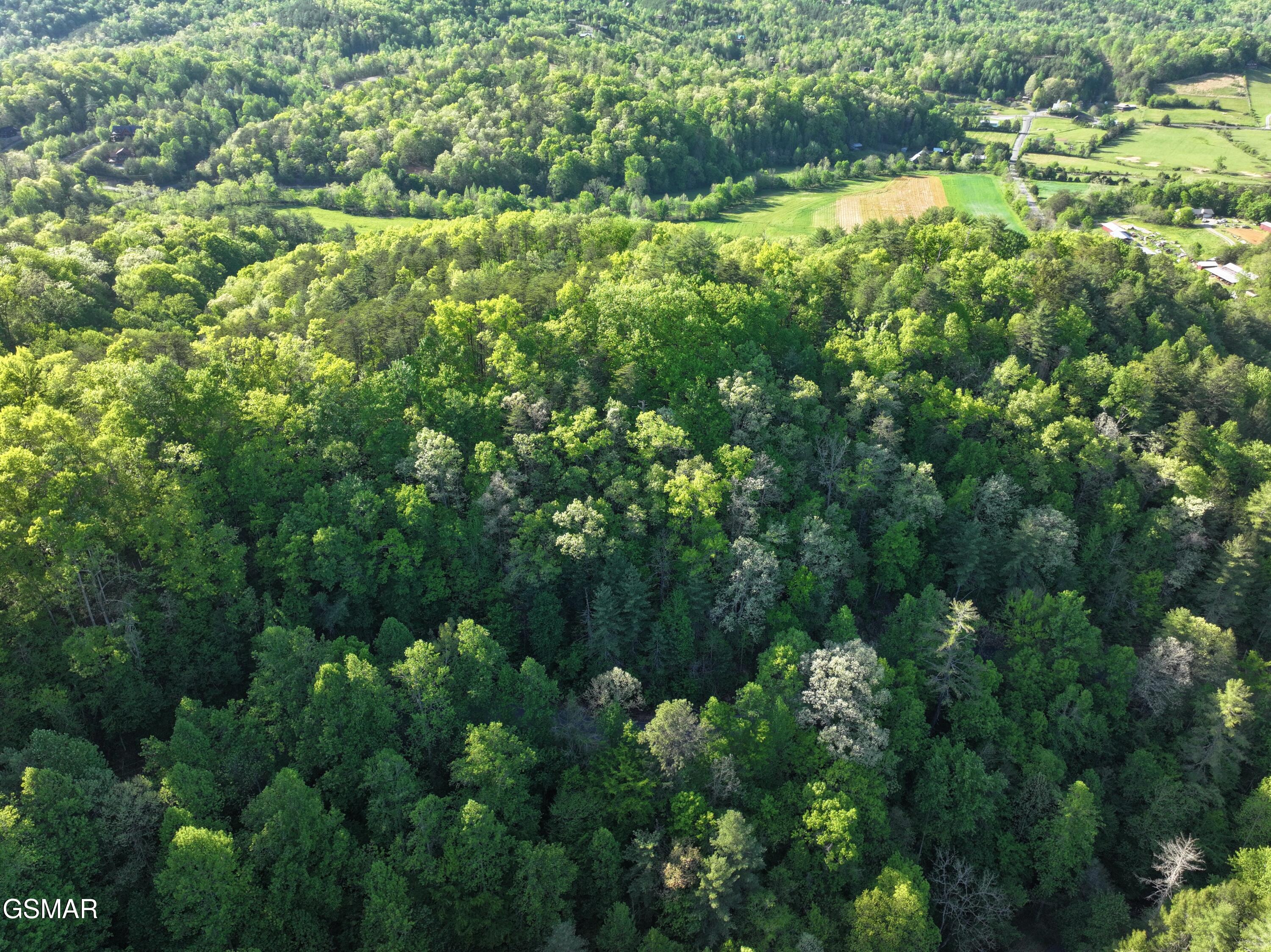 Lot 15 Sunset Road Sevierville TN 37862