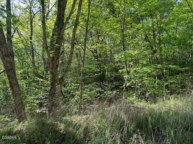 Lot 15 Sunset Road Sevierville TN 37862