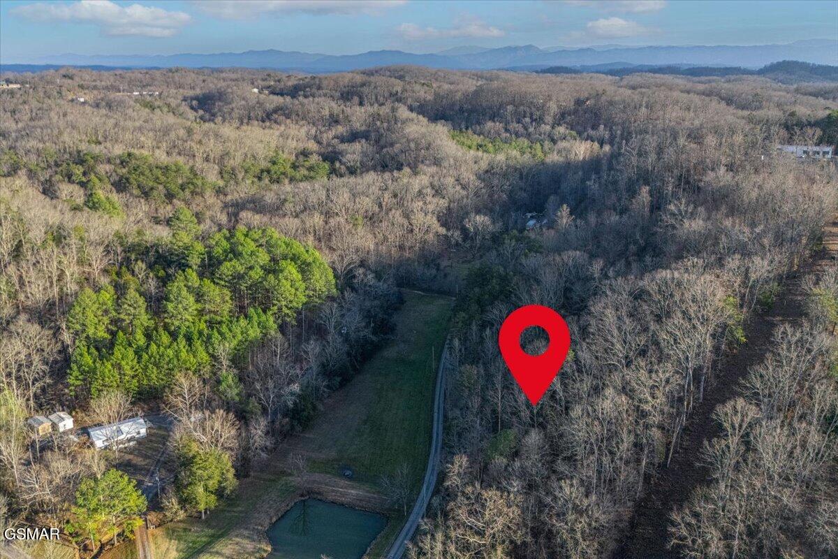 5± Lamplighter Way Newport TN 37821