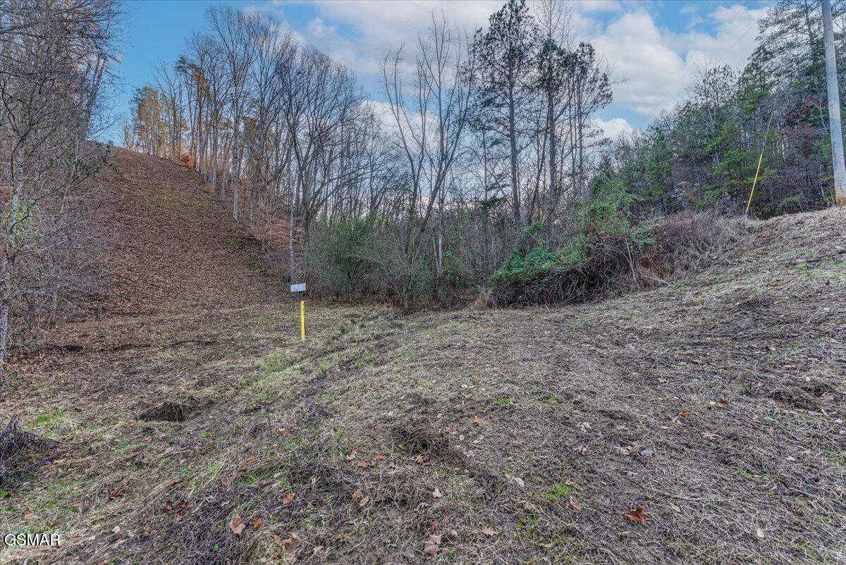 5± Lamplighter Way Newport TN 37821