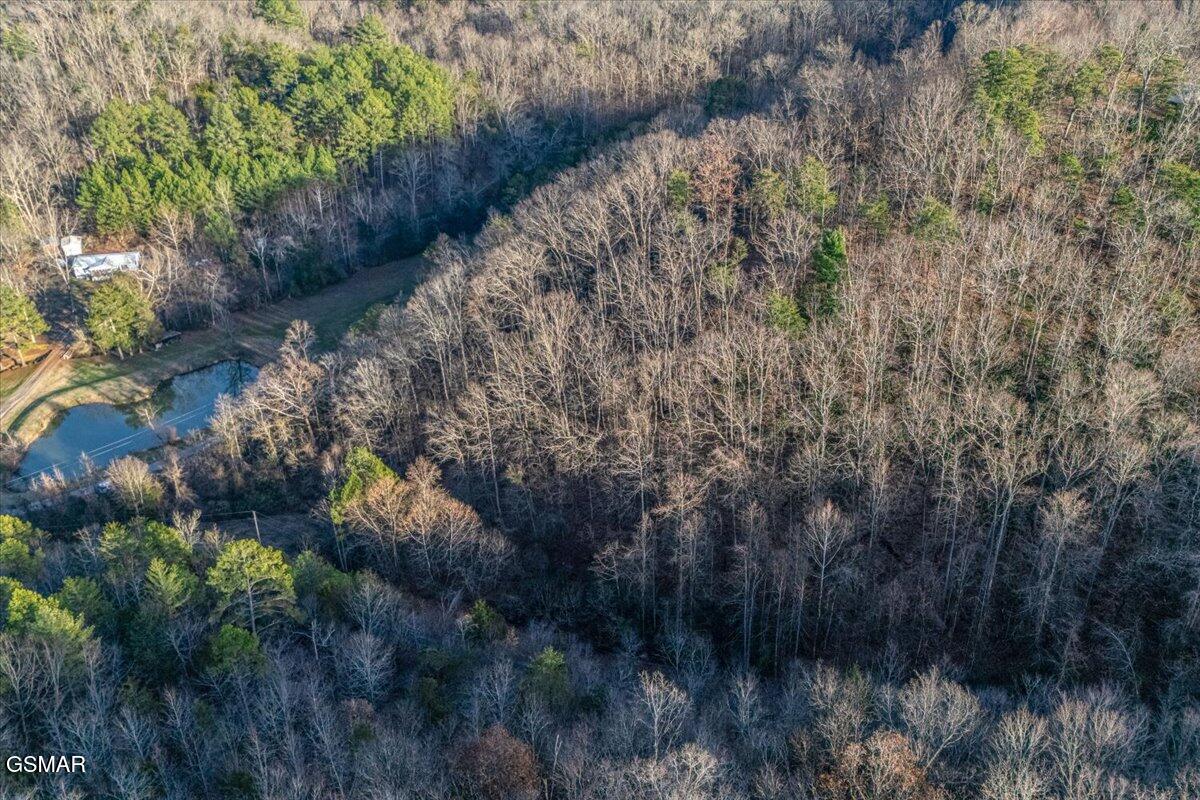 5± Lamplighter Way Newport TN 37821