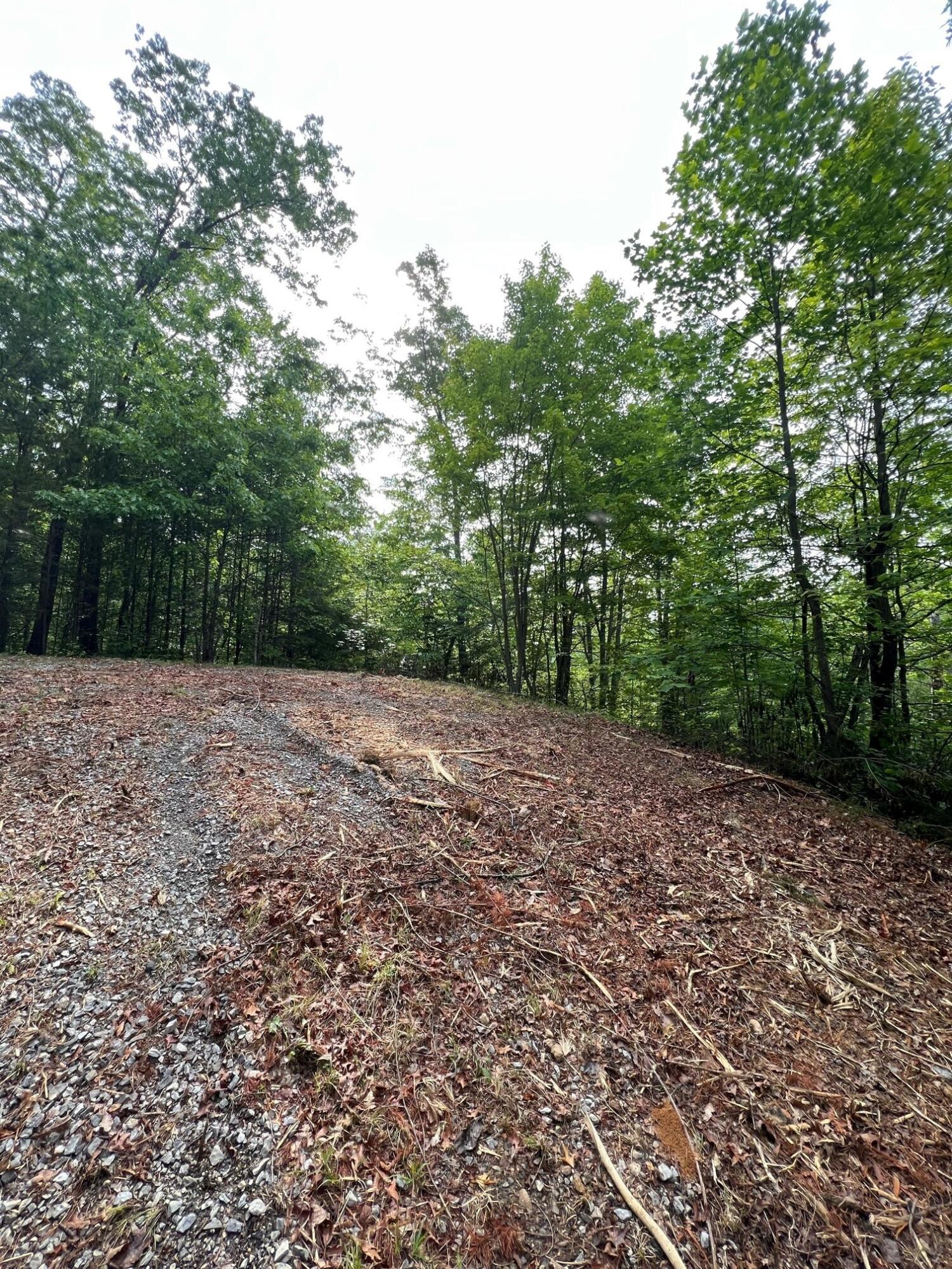 Lot 180e Jones Creek Lane Sevierville TN 37876