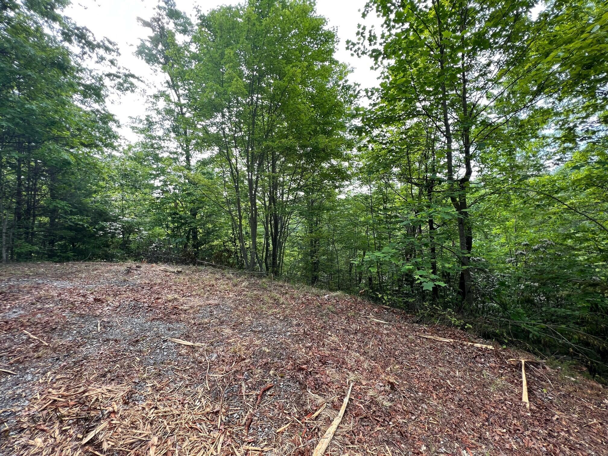 Lot 180e Jones Creek Lane Sevierville TN 37876