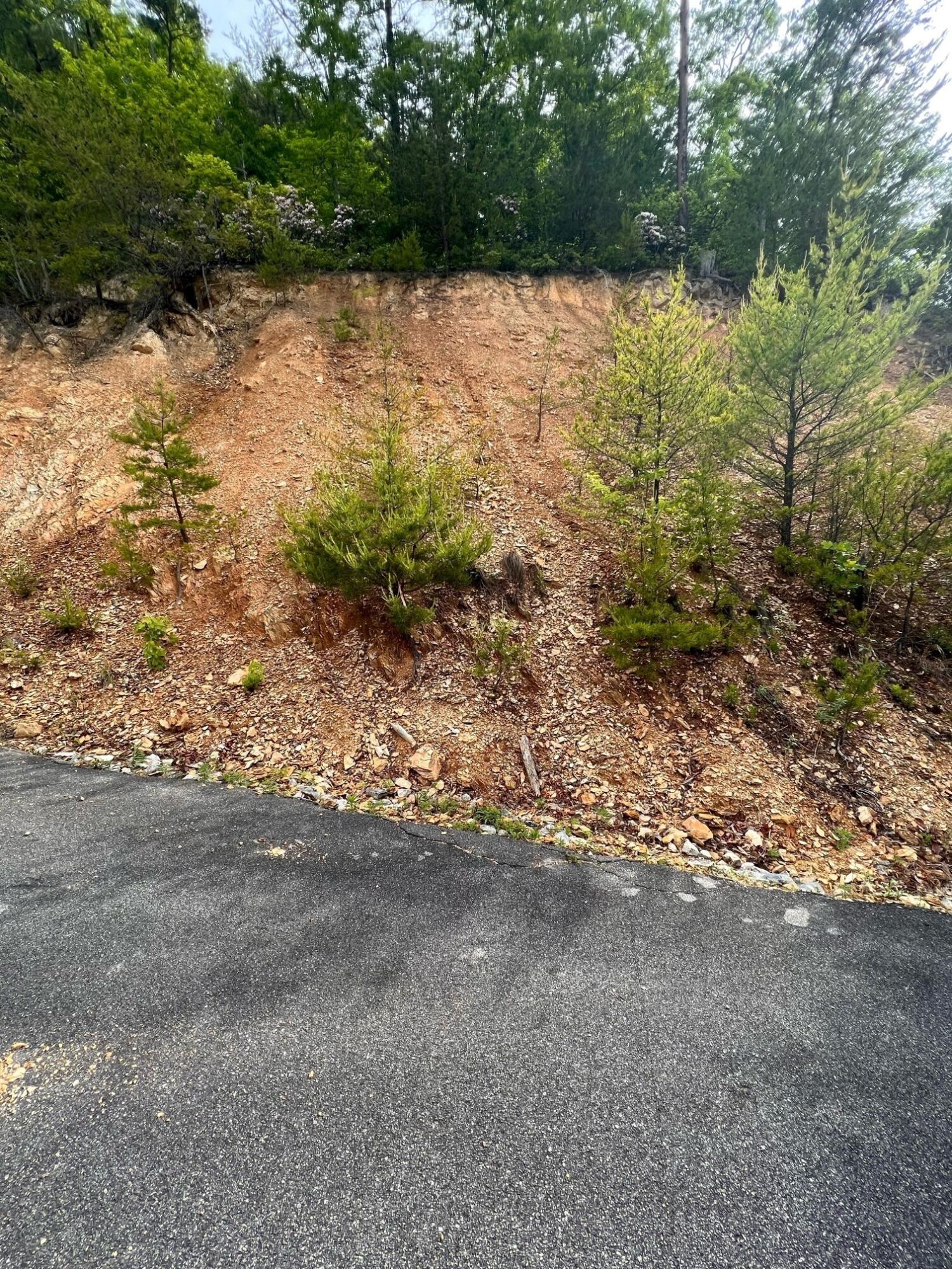 Lot 180e Jones Creek Lane Sevierville TN 37876
