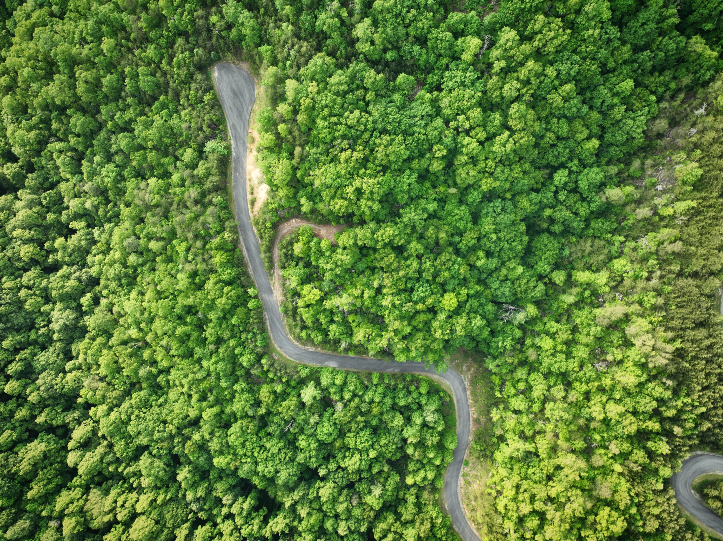 Lot 180e Jones Creek Lane Sevierville TN 37876