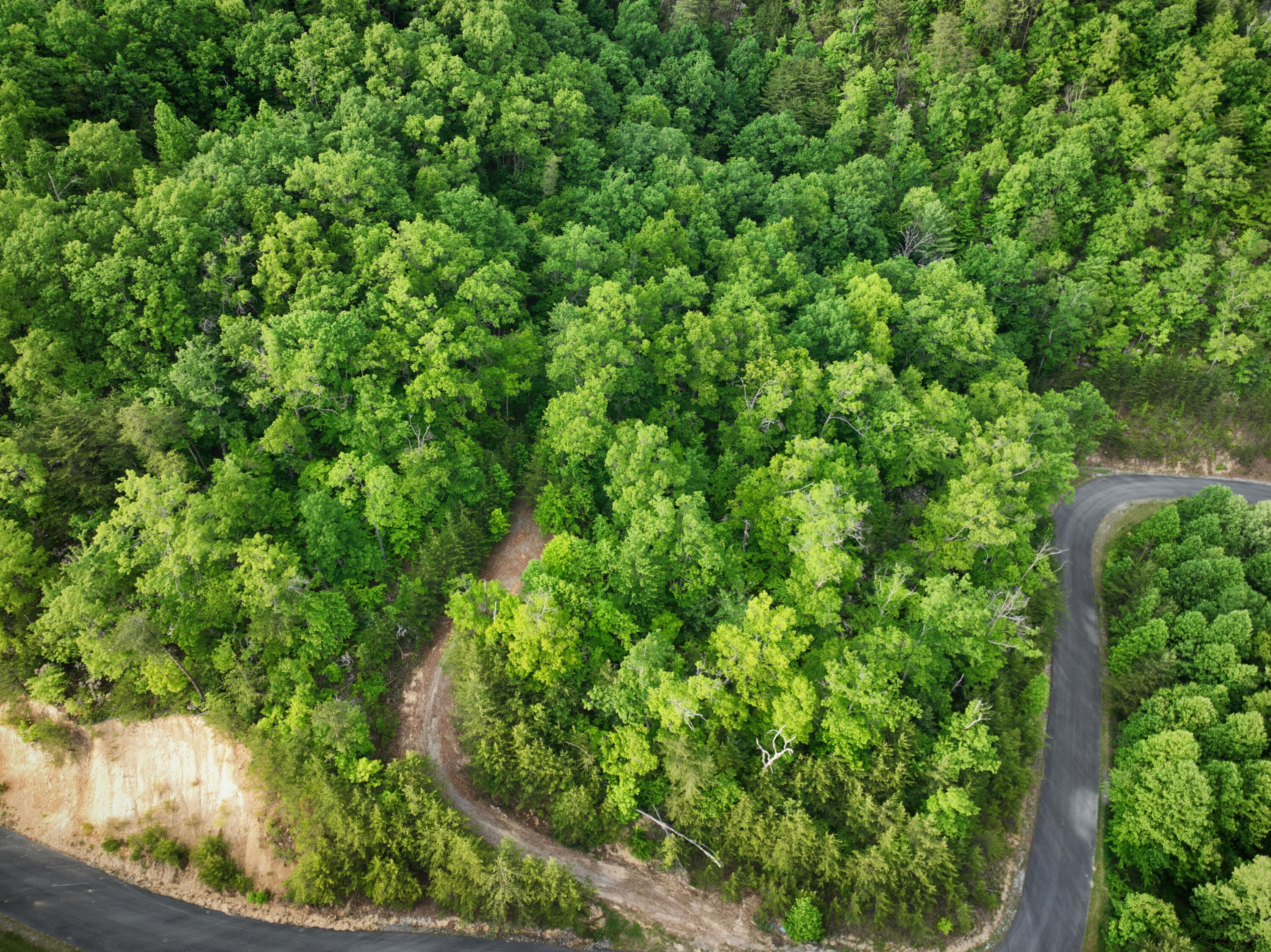 Lot 180e Jones Creek Lane Sevierville TN 37876