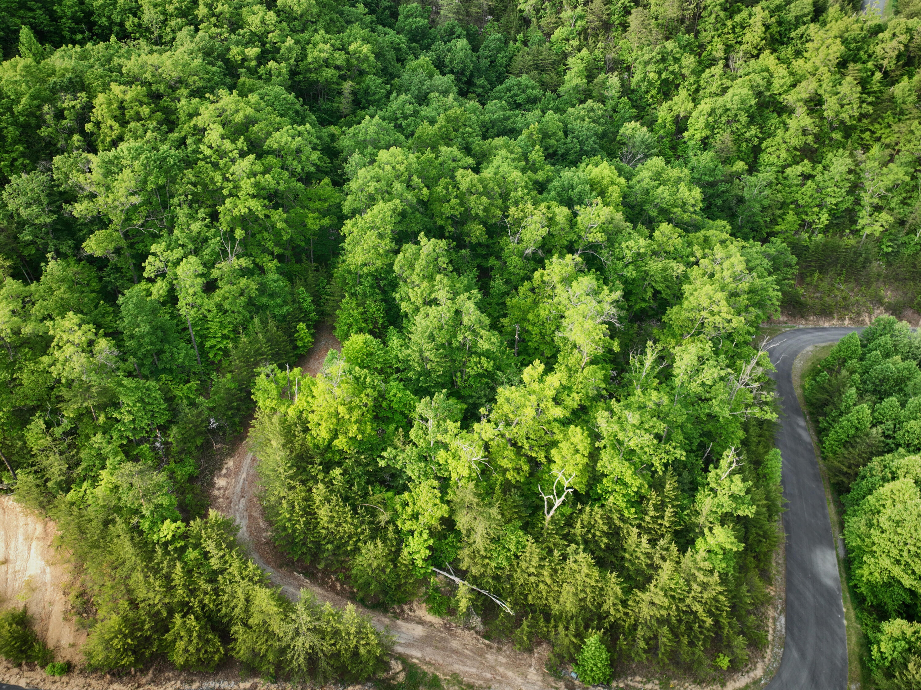 Lot 180e Jones Creek Lane Sevierville TN 37876