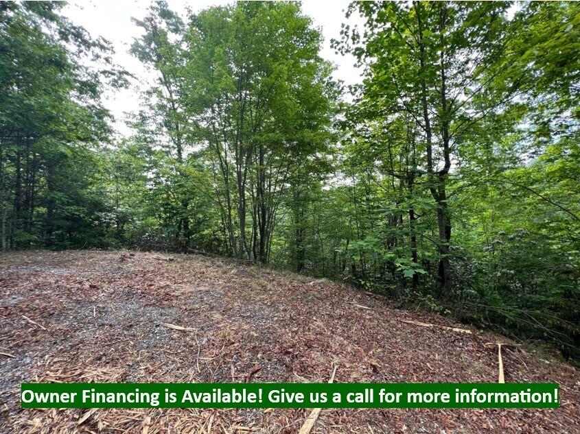 Lot 180e Jones Creek Lane Sevierville TN 37876