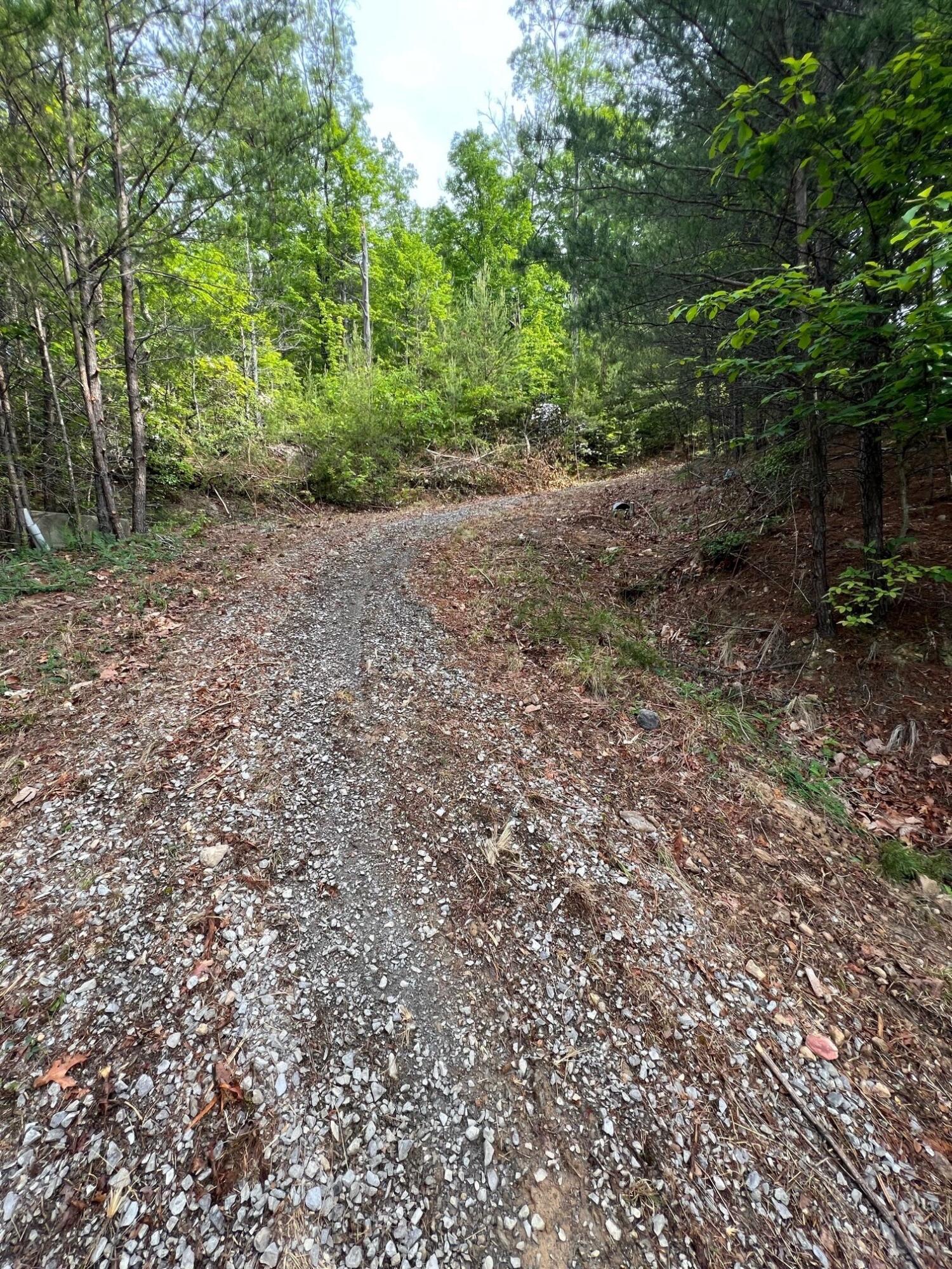 Lot 180e Jones Creek Lane Sevierville TN 37876