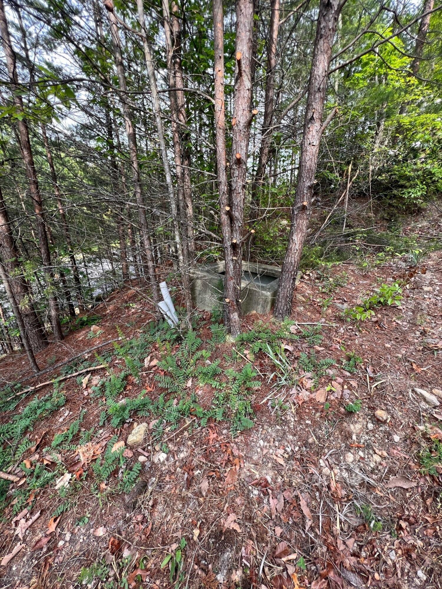 Lot 180e Jones Creek Lane Sevierville TN 37876