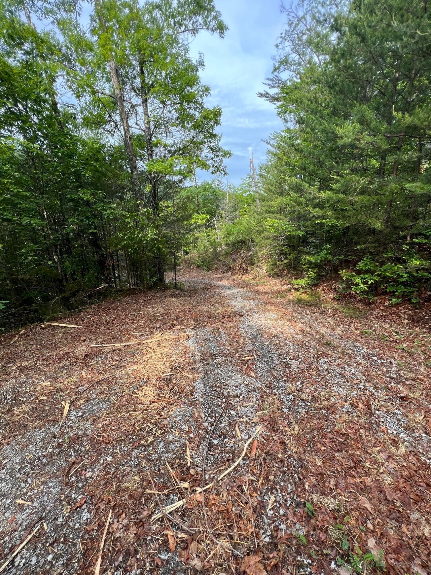 Lot 180e Jones Creek Lane Sevierville TN 37876