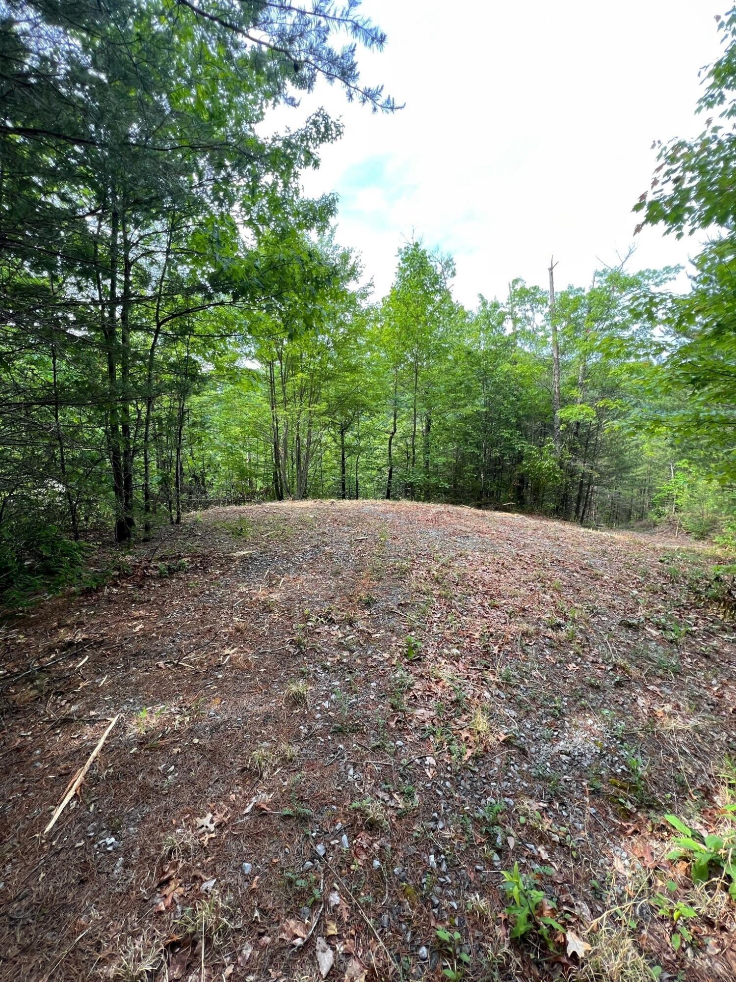 Lot 180e Jones Creek Lane Sevierville TN 37876