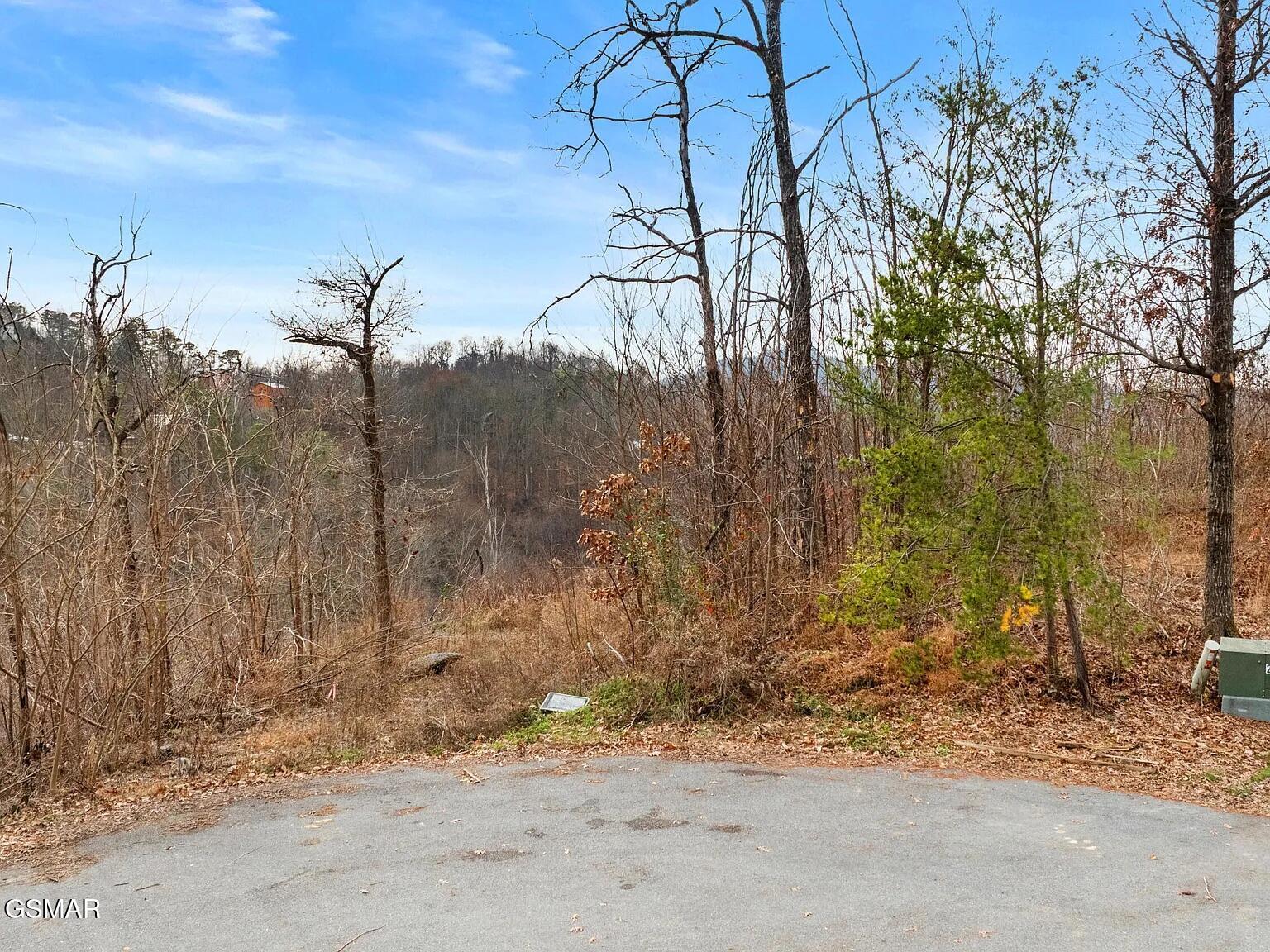 7R Lone Ridge Road Sevierville TN 37876