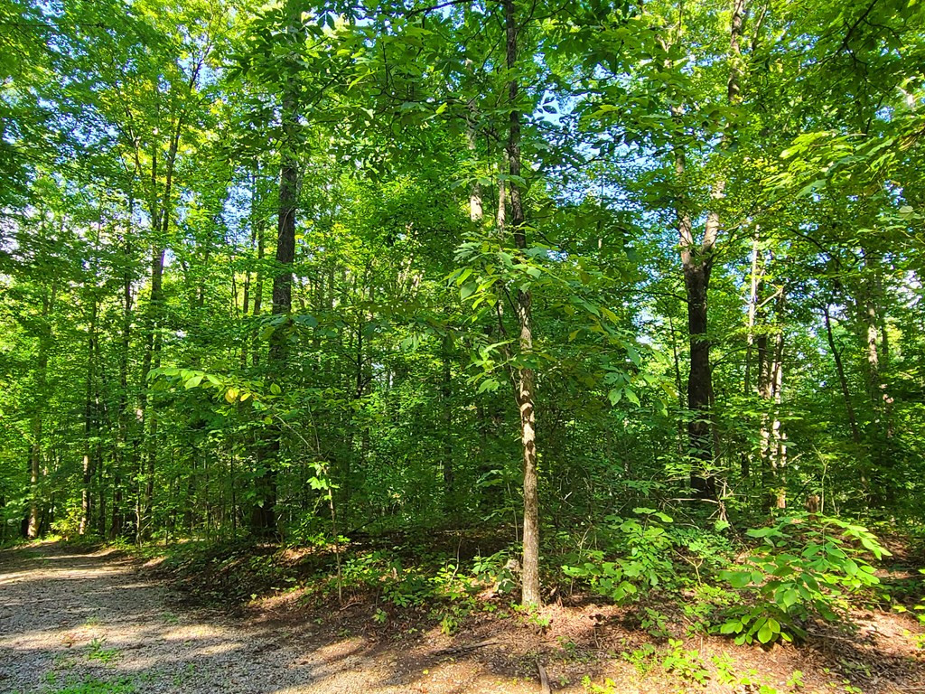 Lot 9 Walden Flats Way Sevierville TN 37862