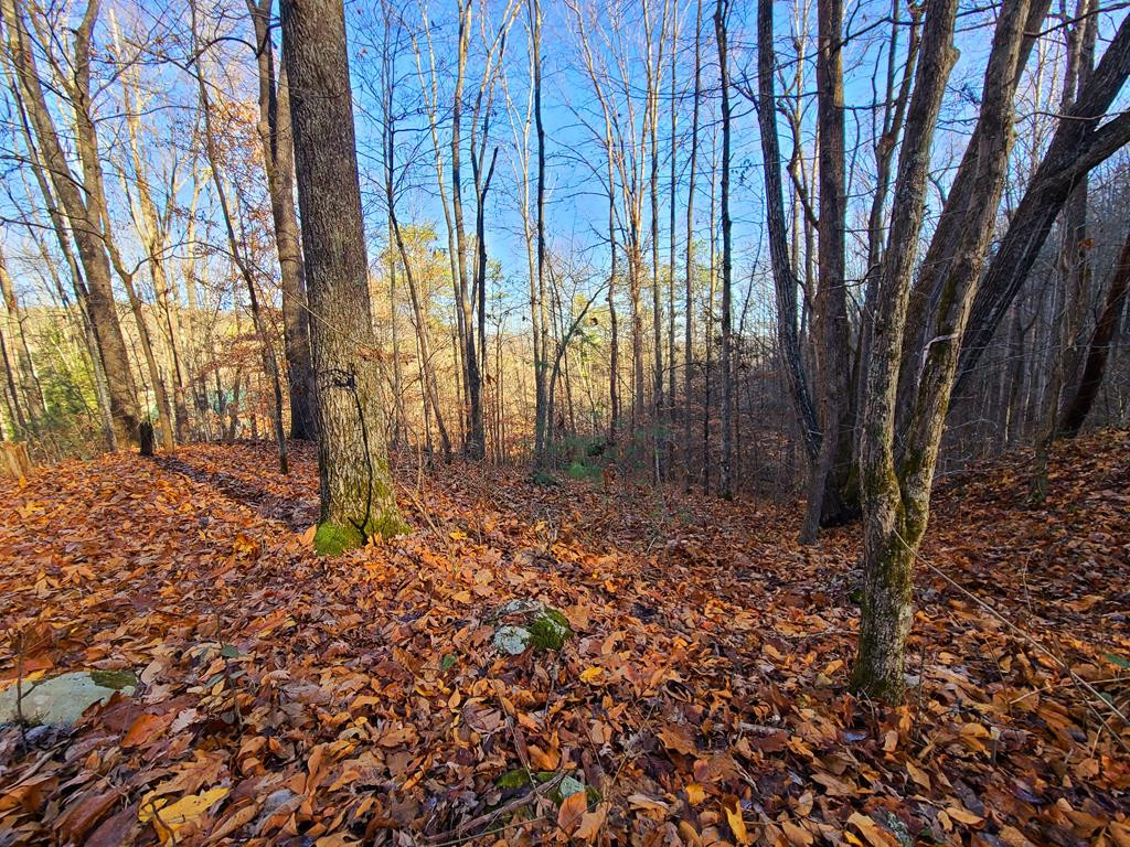 Lot 9 Walden Flats Way Sevierville TN 37862
