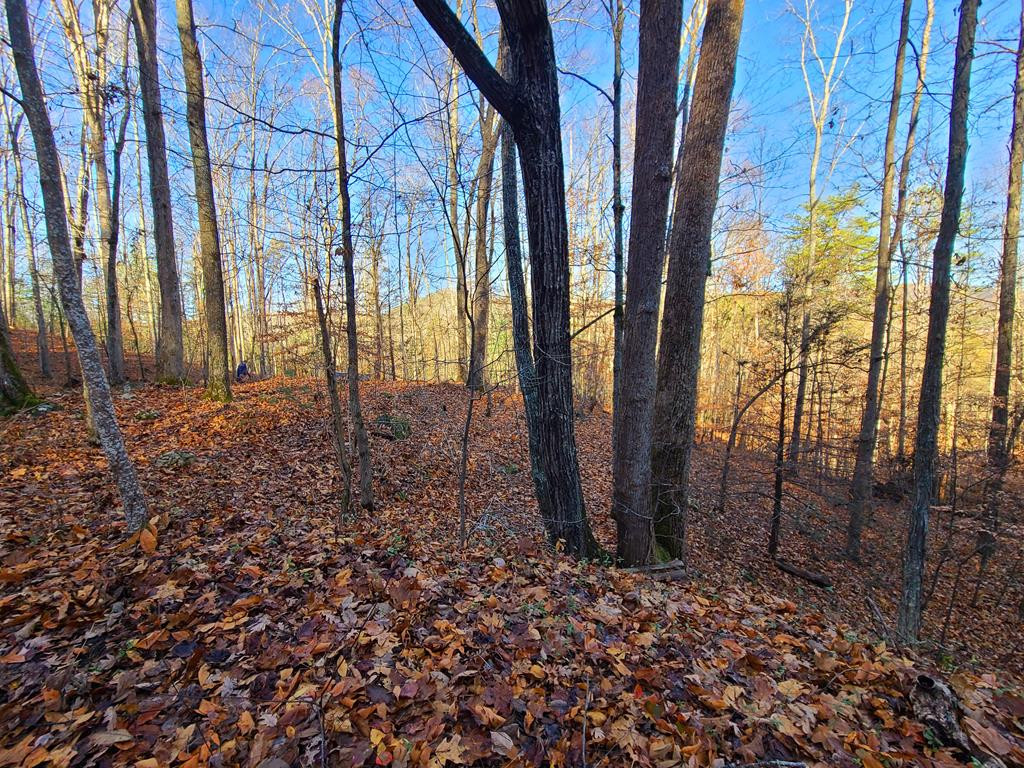 Lot 9 Walden Flats Way Sevierville TN 37862