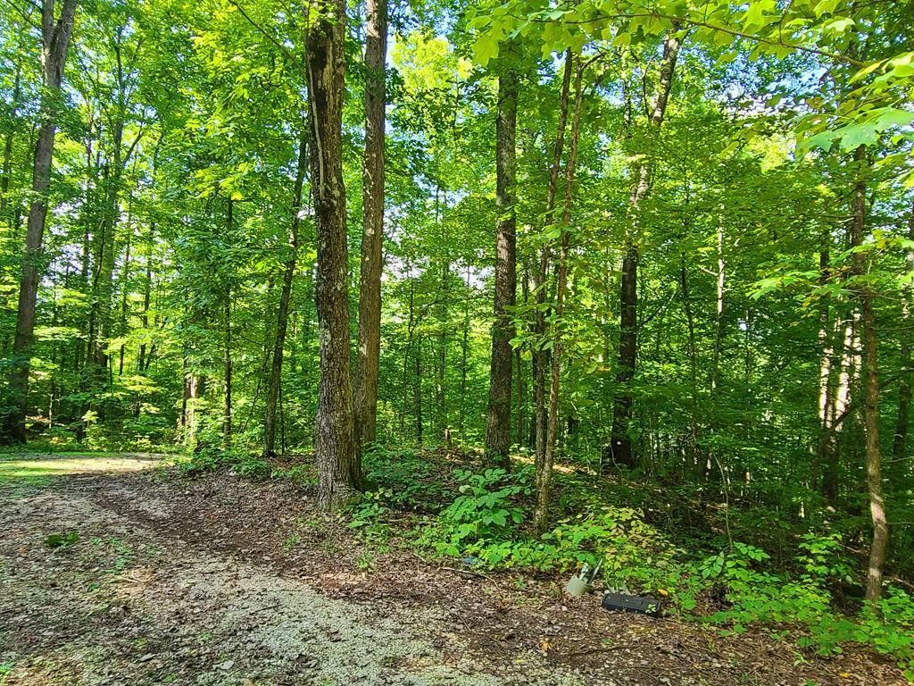Lot 9 Walden Flats Way Sevierville TN 37862