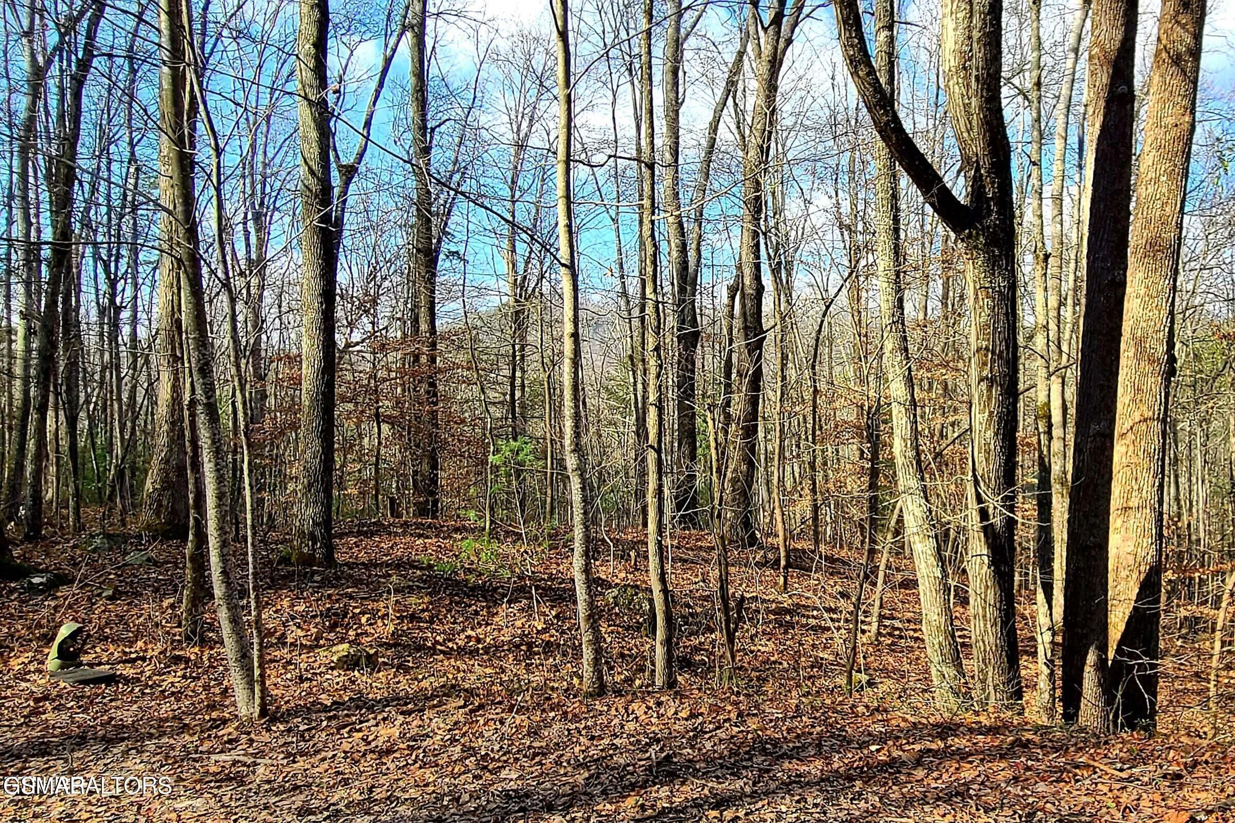 Lot 9 Walden Flats Way Sevierville TN 37862