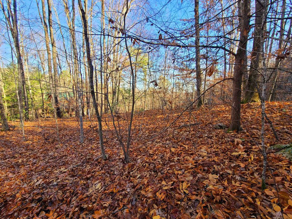 Lot 9 Walden Flats Way Sevierville TN 37862