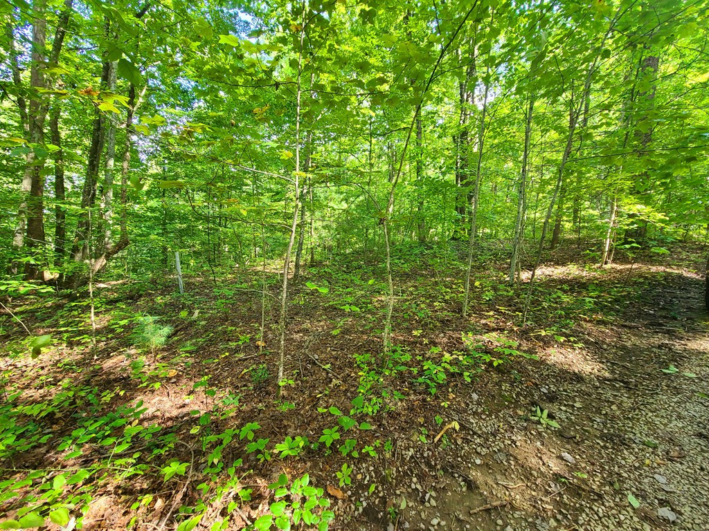 Lot 9 Walden Flats Way Sevierville TN 37862