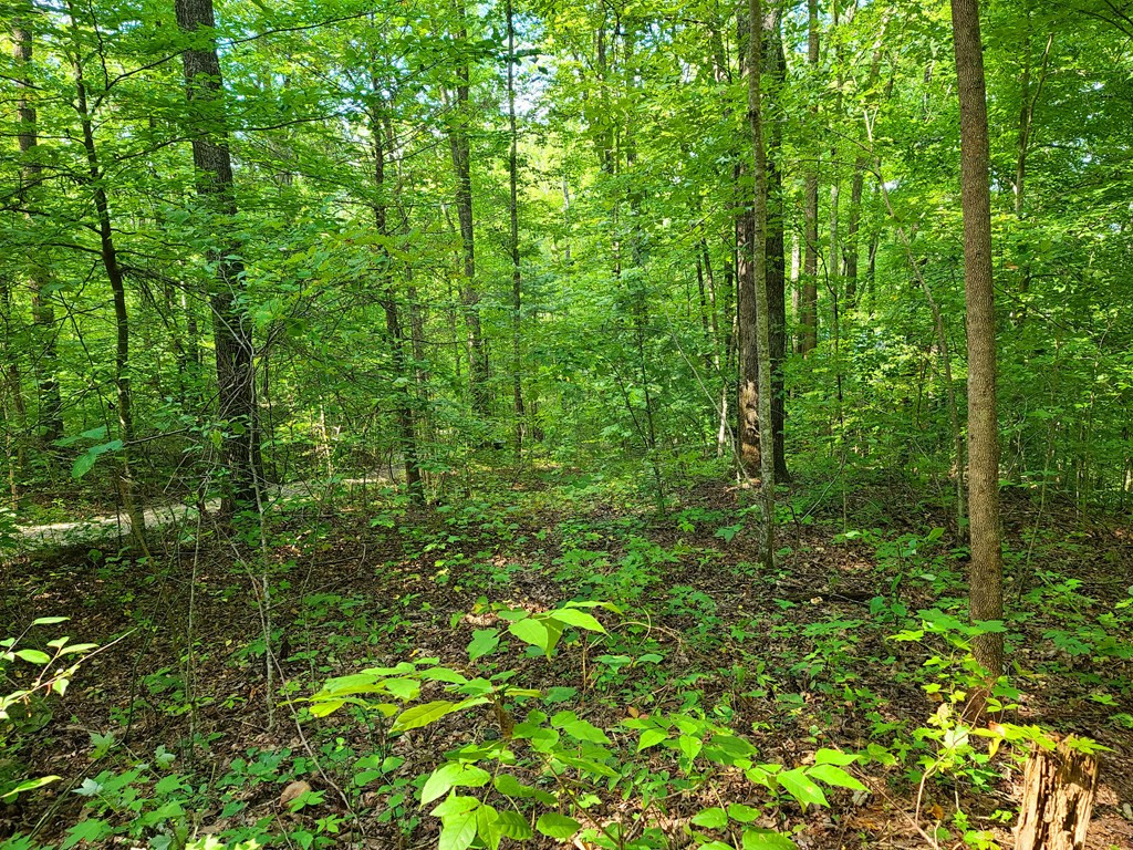 Lot 9 Walden Flats Way Sevierville TN 37862
