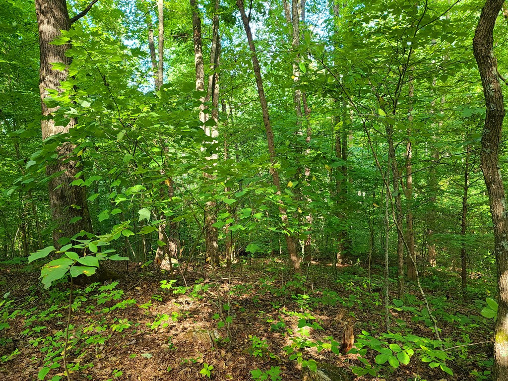 Lot 9 Walden Flats Way Sevierville TN 37862