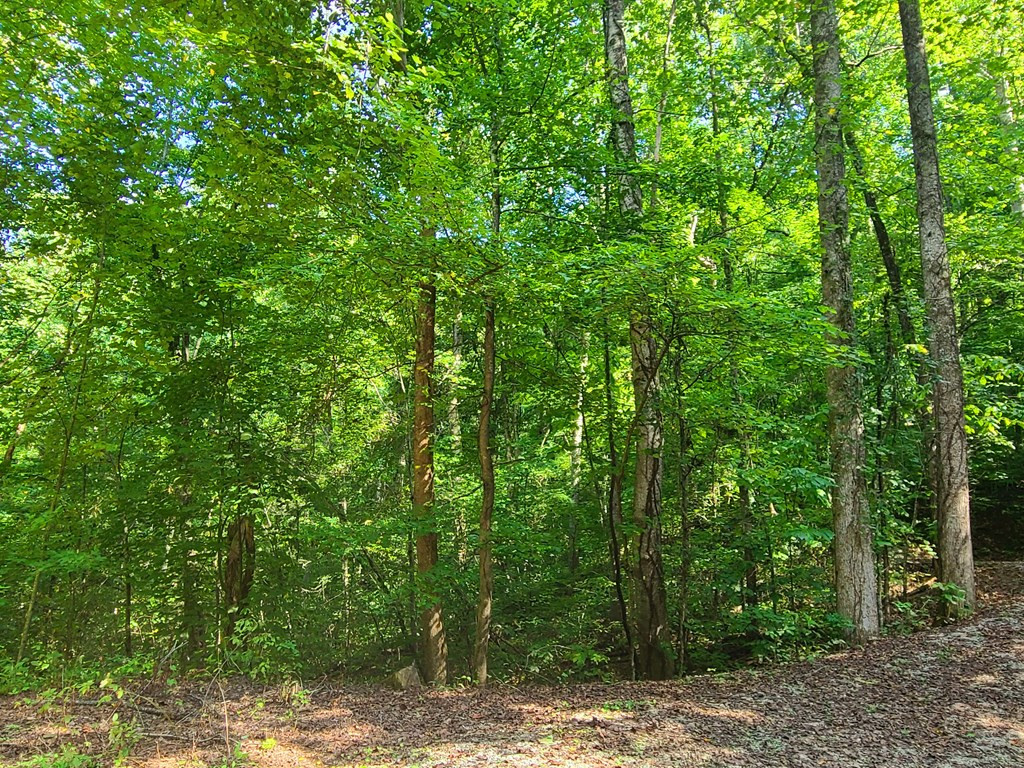 Lot 9 Walden Flats Way Sevierville TN 37862