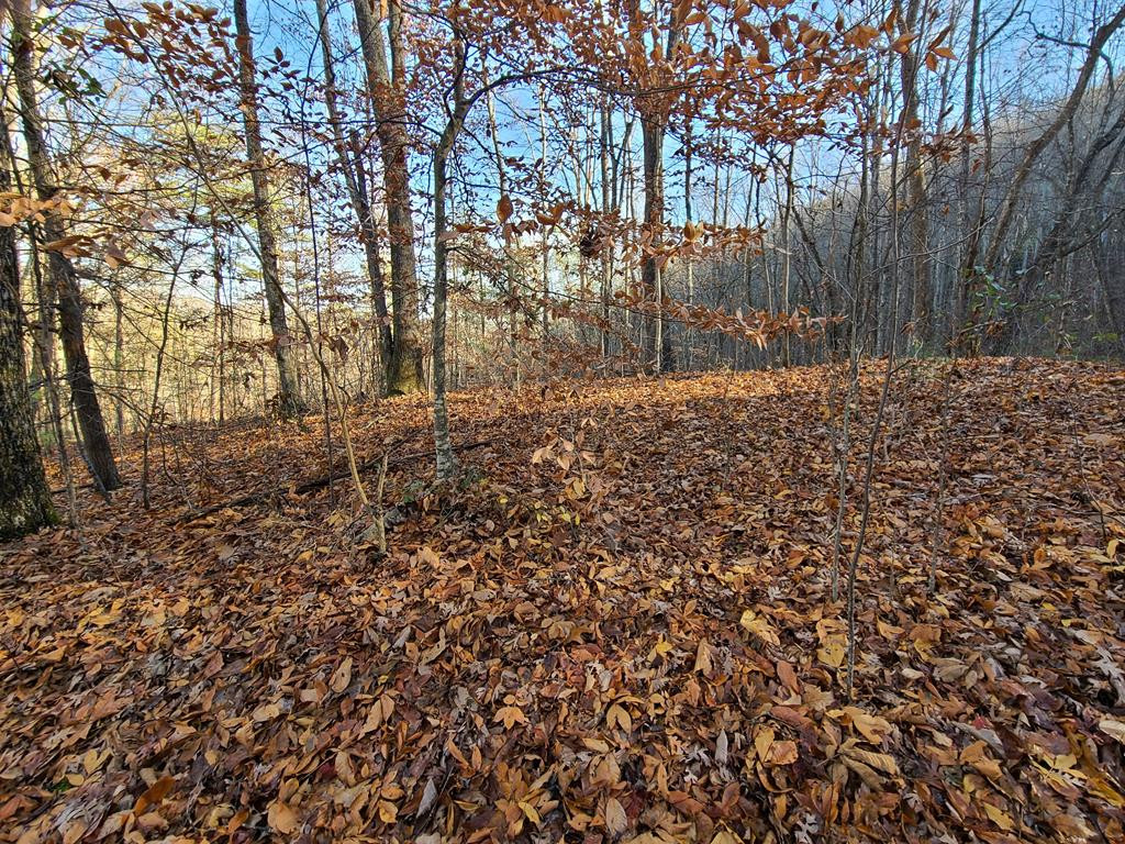 Lot 9 Walden Flats Way Sevierville TN 37862